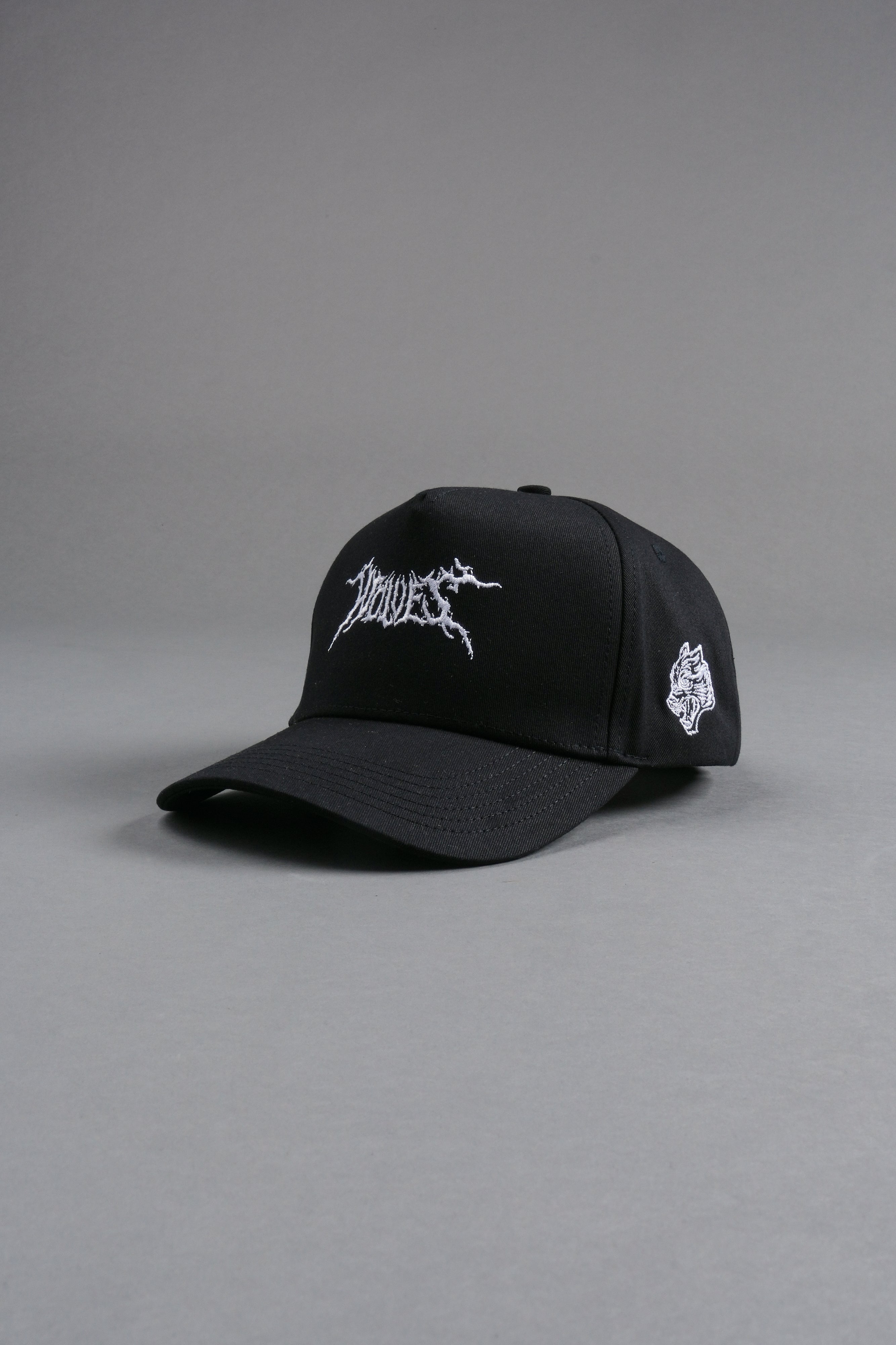 Blood & Iron 5 Panel Hat in Black