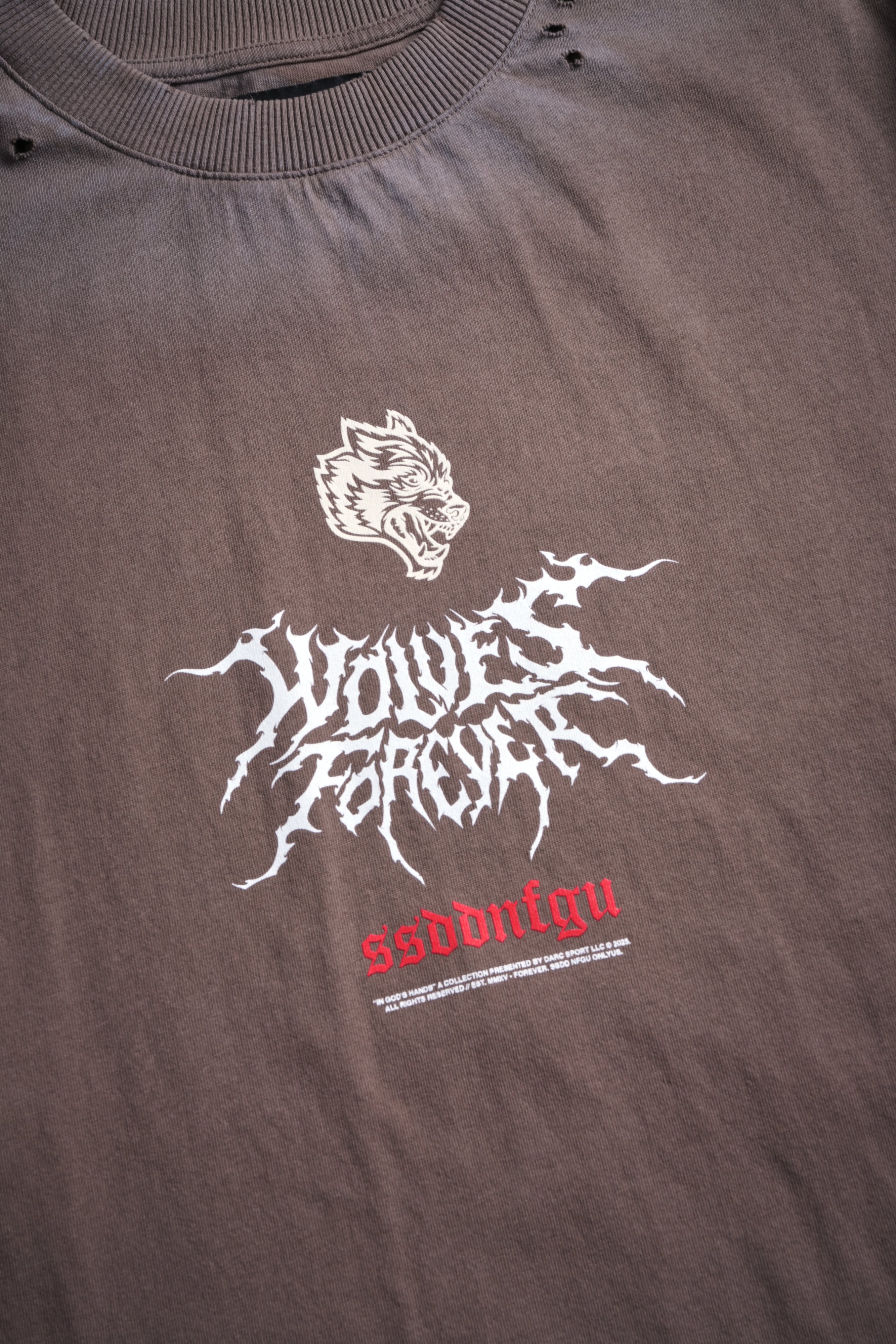 Mori Rose Distressed Grunge Tee in Mojave Brown Drift Wash