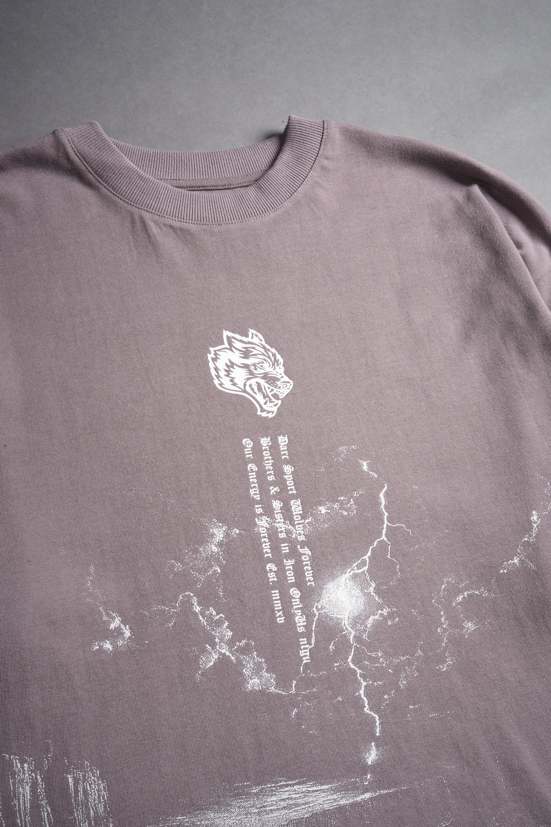 Our Journey "Premium" Oversized Tee in Pale Gray