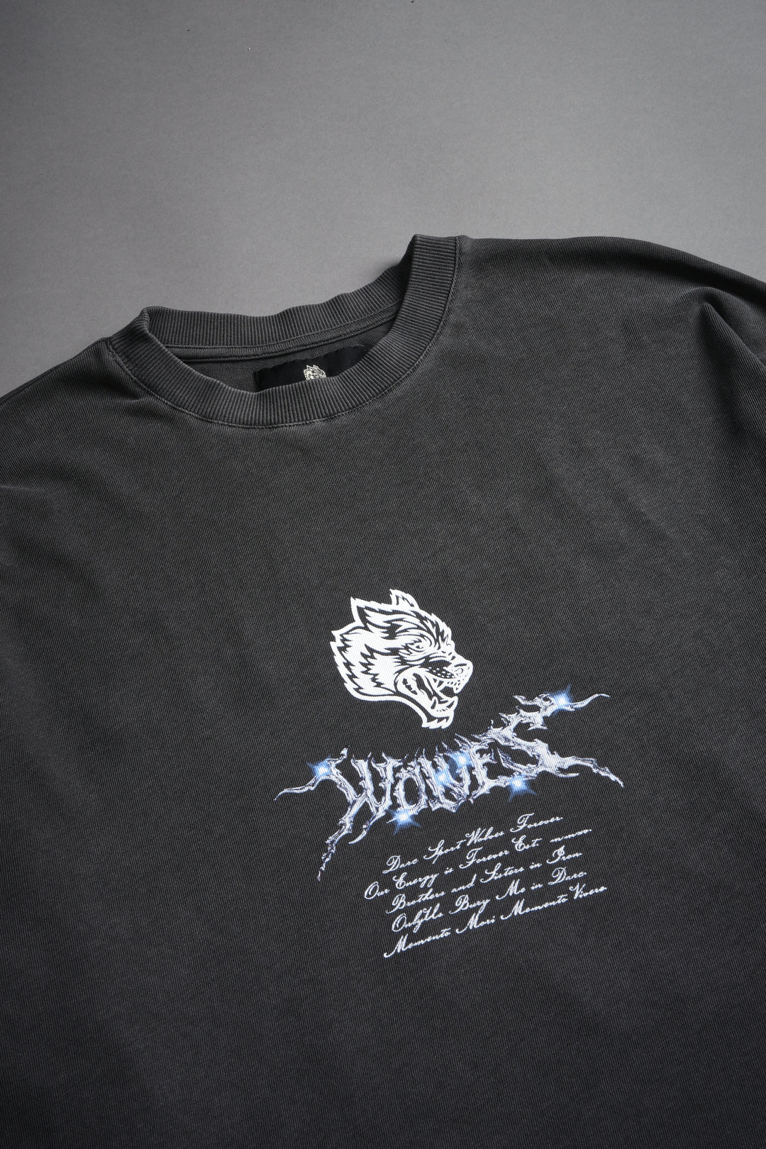 Iron Moth "Premium" Oversized Tee in Wolf Gray