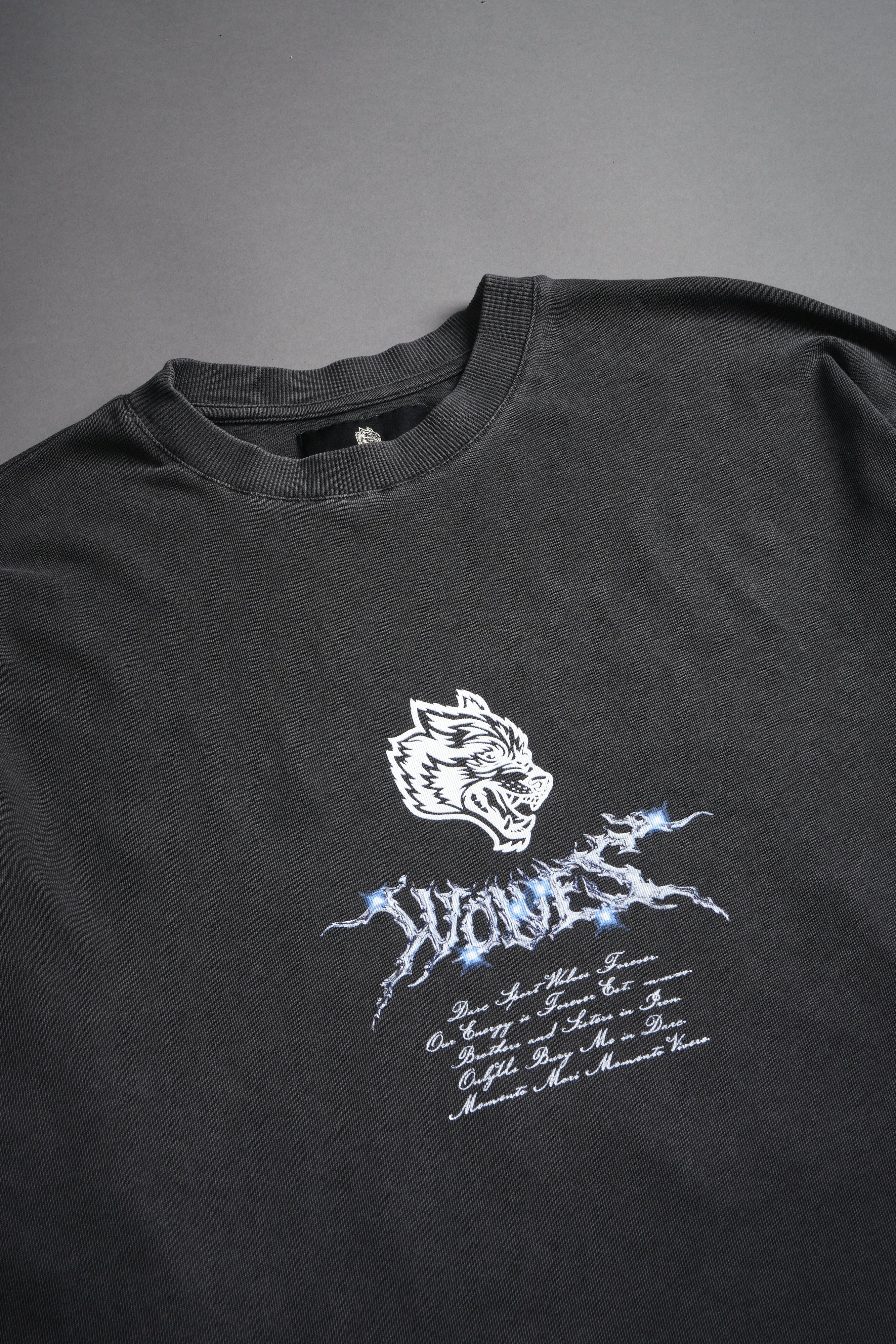 Iron Moth "Premium" Oversized Tee in Wolf Gray