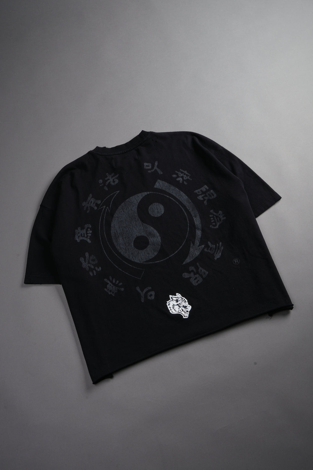 Bruce Lee Forever Distressed Grunge Box Cut Tee V2 in Black