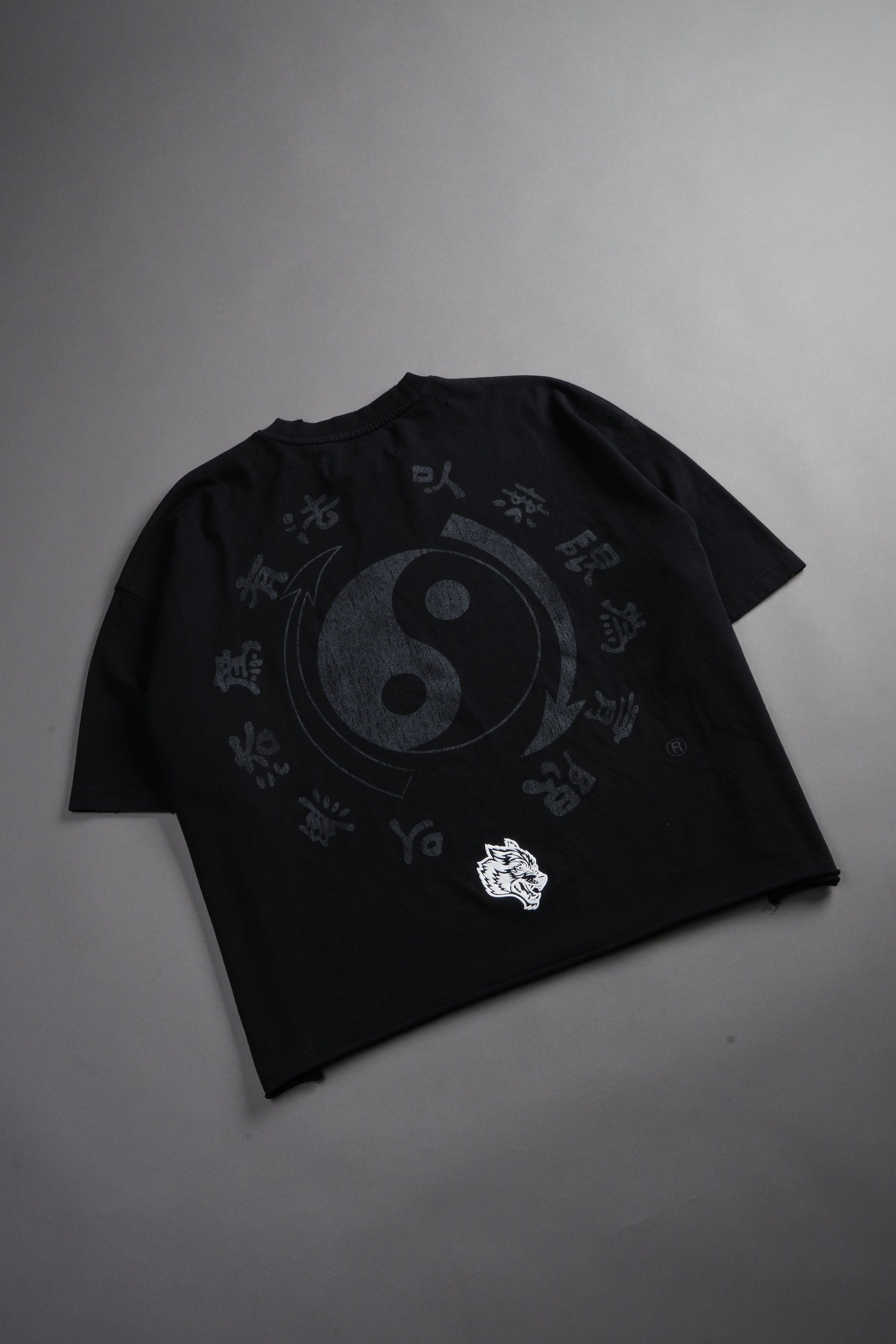 Bruce Lee Forever Distressed Grunge Box Cut Tee V2 in Black