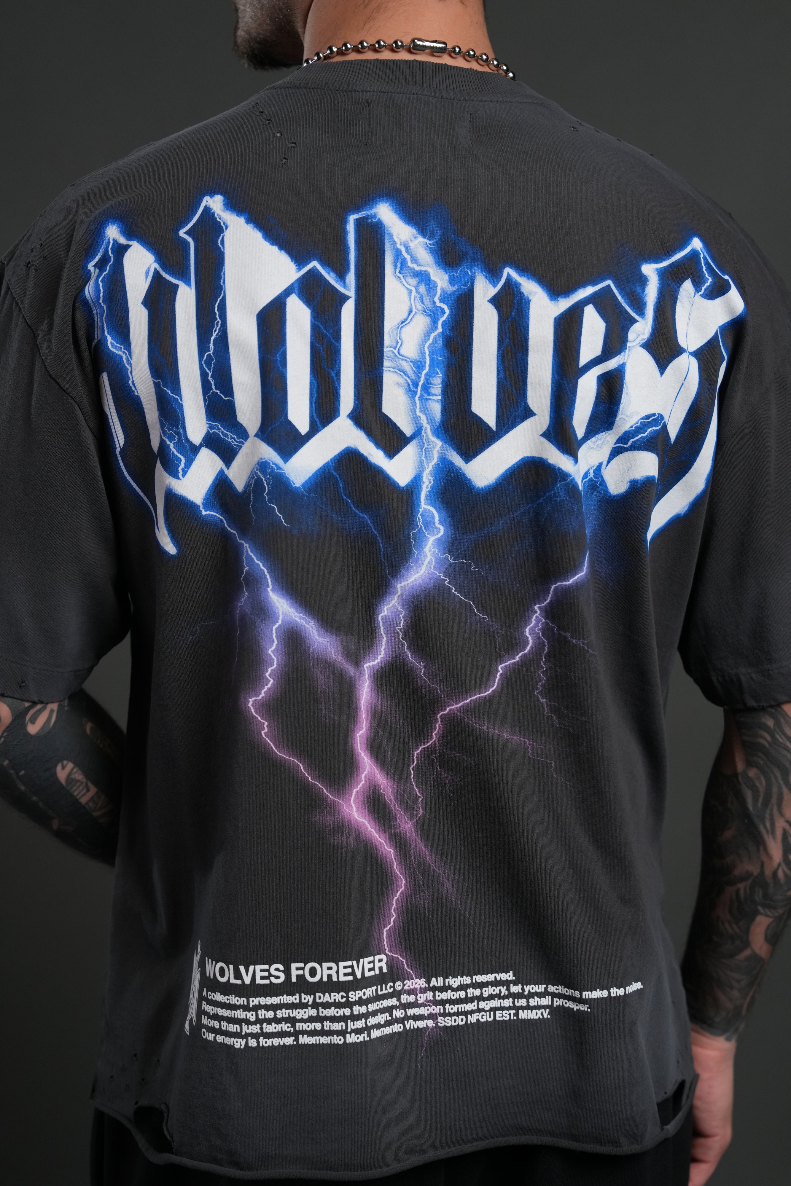 Wolves Lightning Distressed Grunge Tee in Wolf Gray Drift Wash