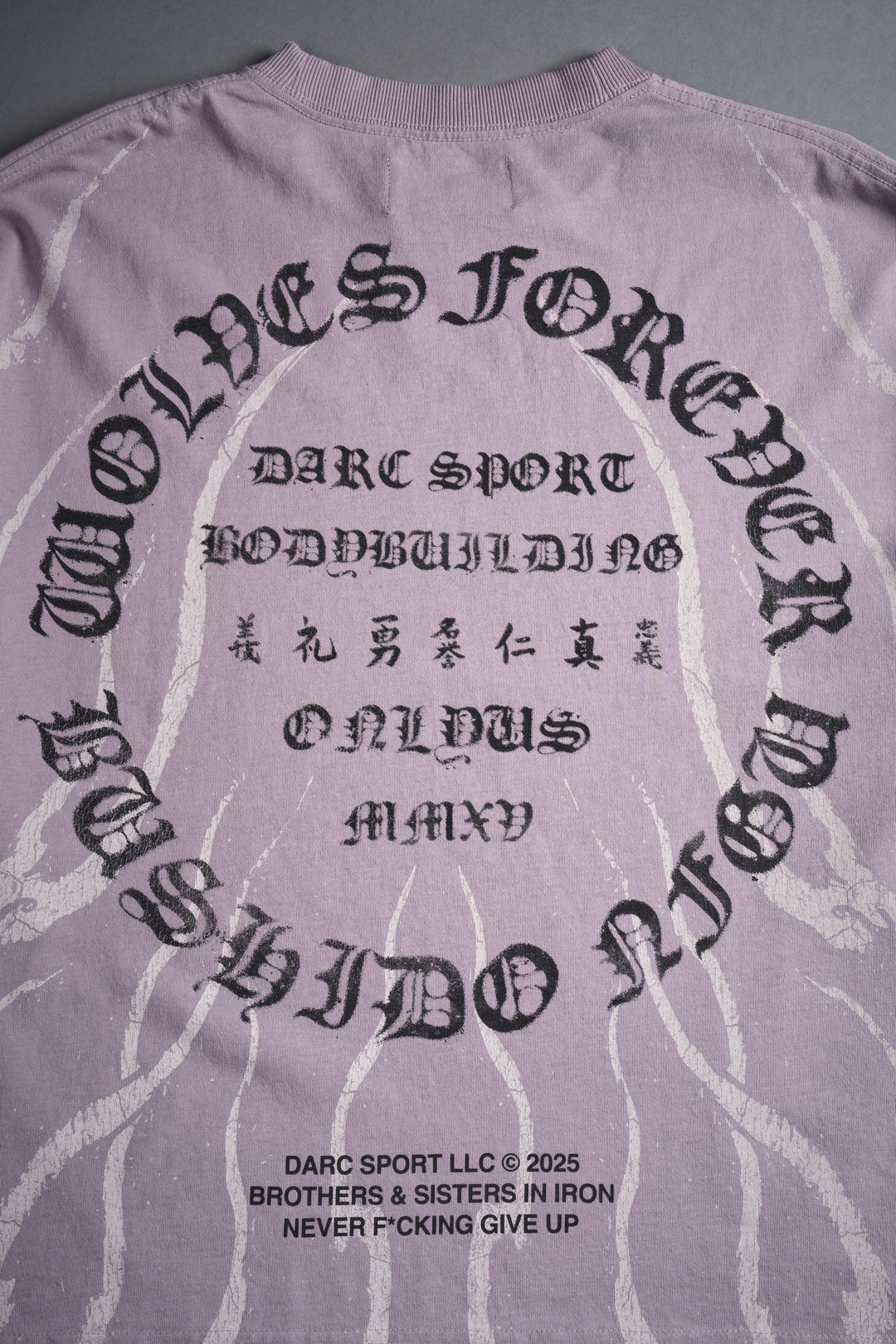 Warrior's Fire Grunge "Box Cut" L/S Tee in Purple Smoke