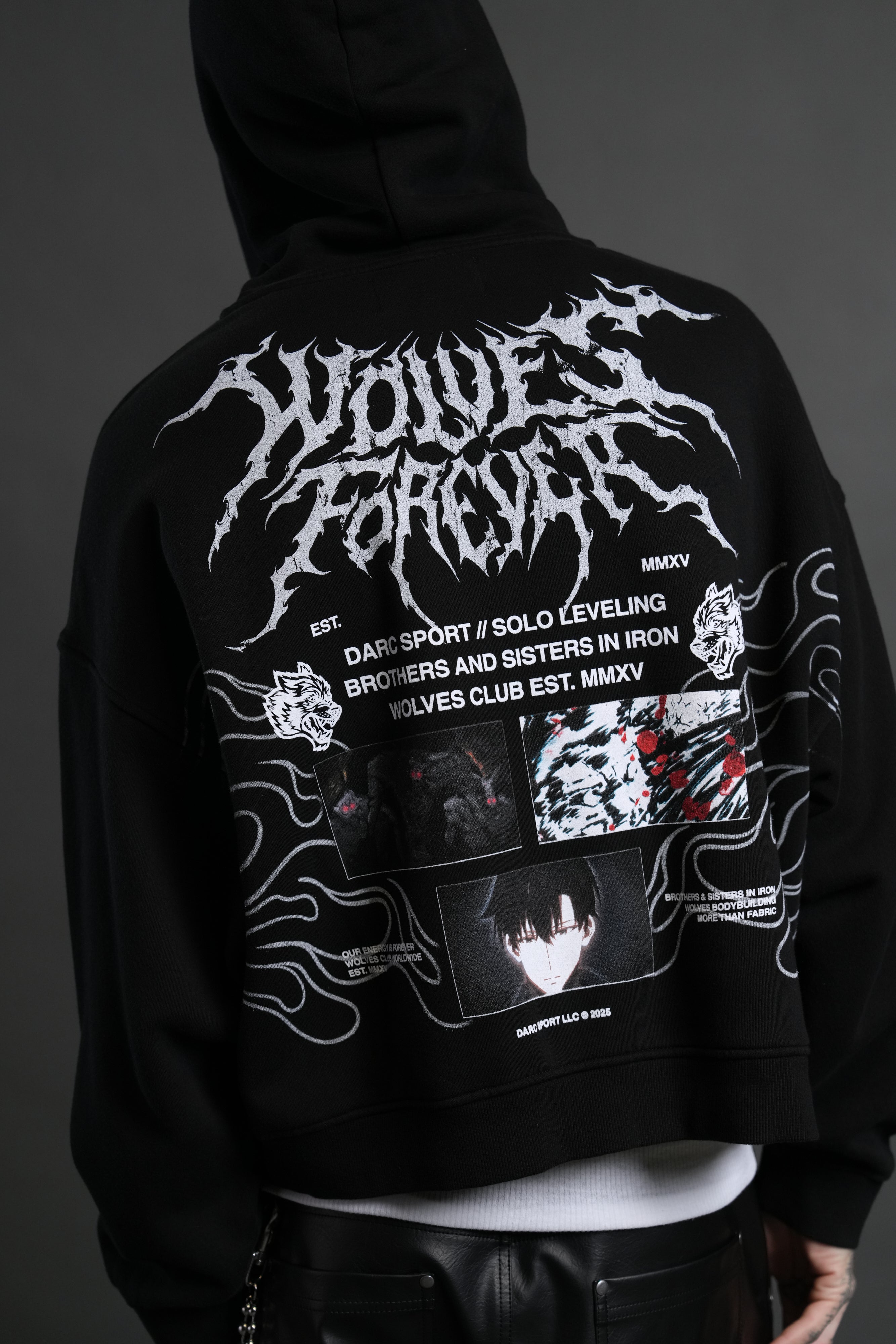 S-Rank Vex Double Zip Hoodie in Black
