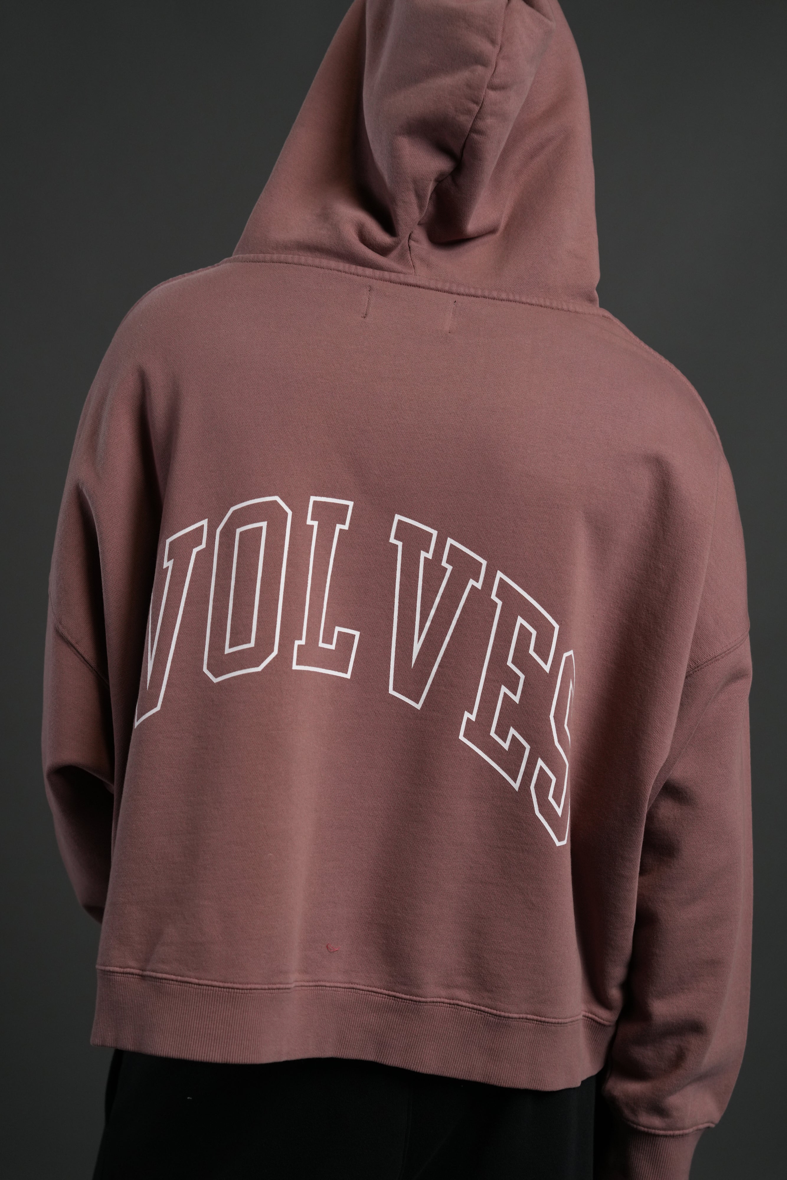 Wolf of the Flame Grunge "Gage Box Cut" Hoodie in Mauve