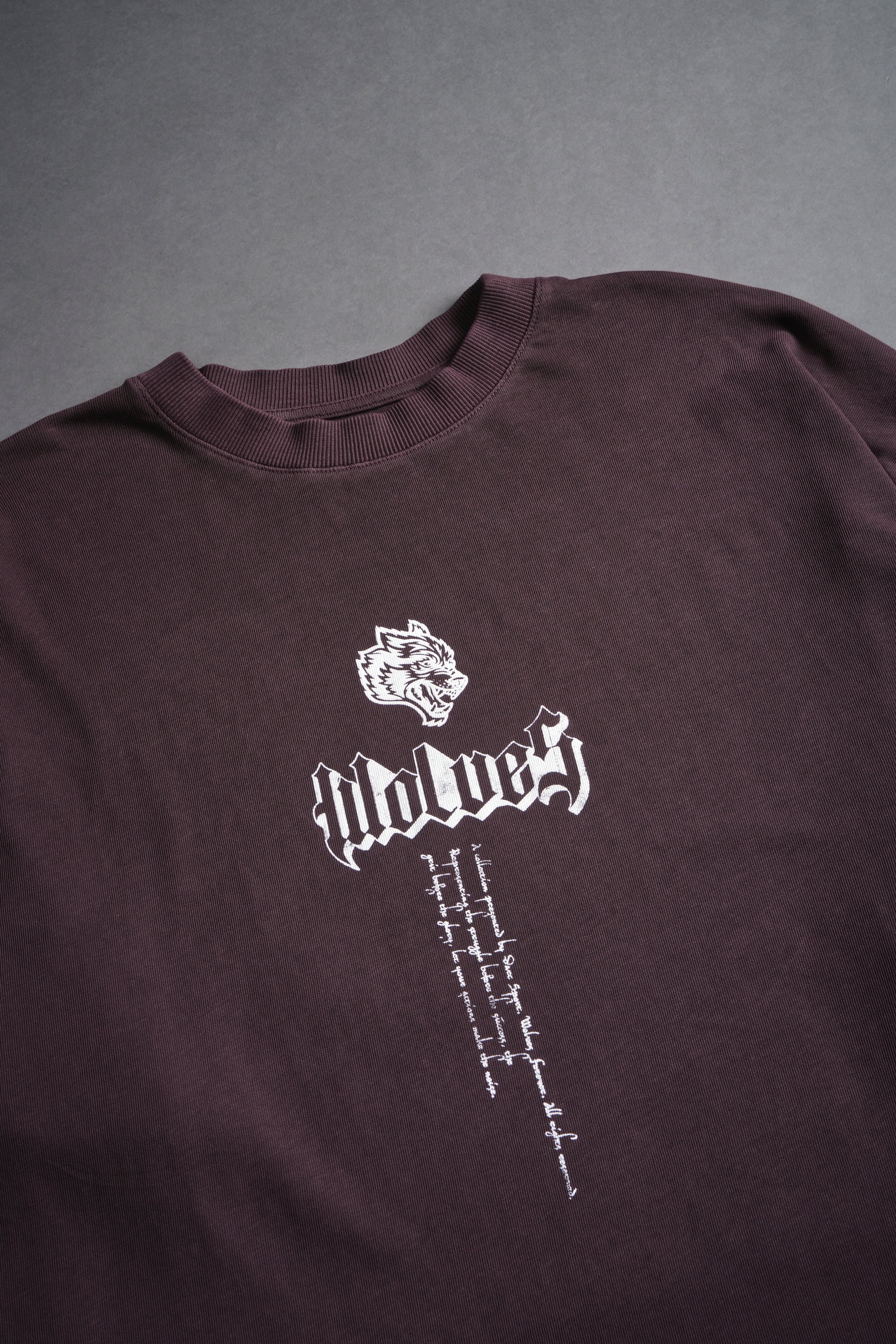 Age Of The Valkyrie "Premium" Oversized Unisex Tee in Darc Purple
