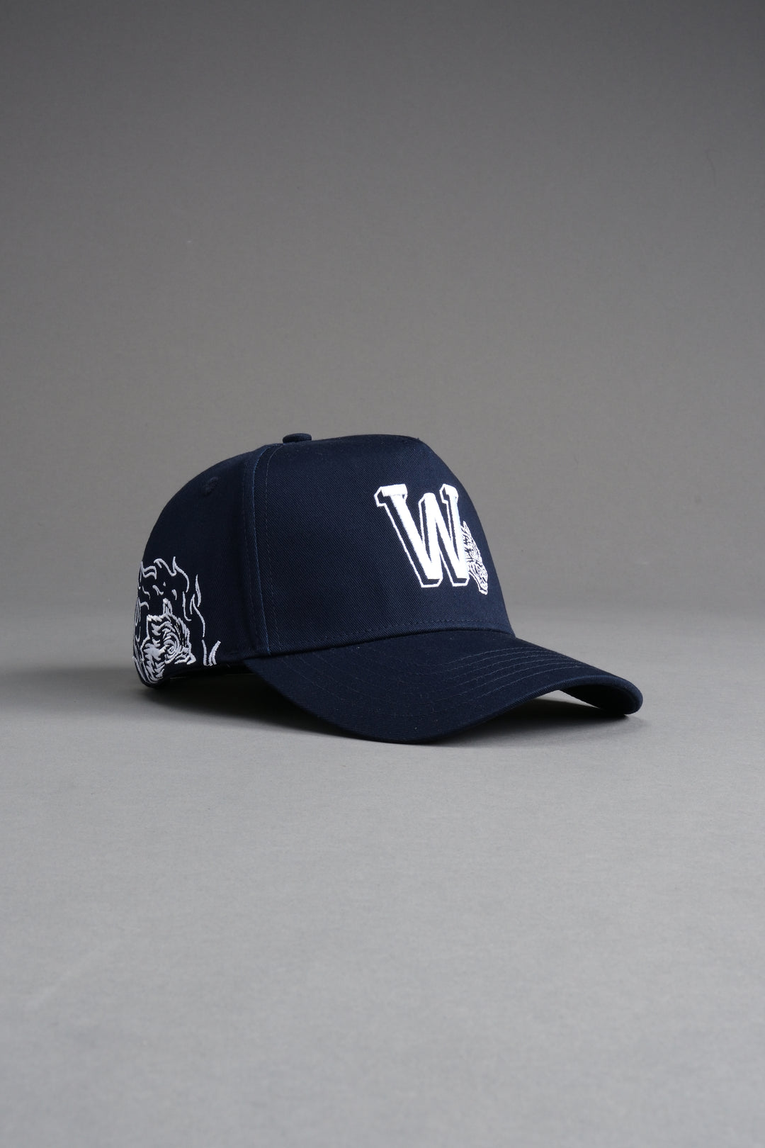 Our Flame 5 Panel Hat in Darc Blue