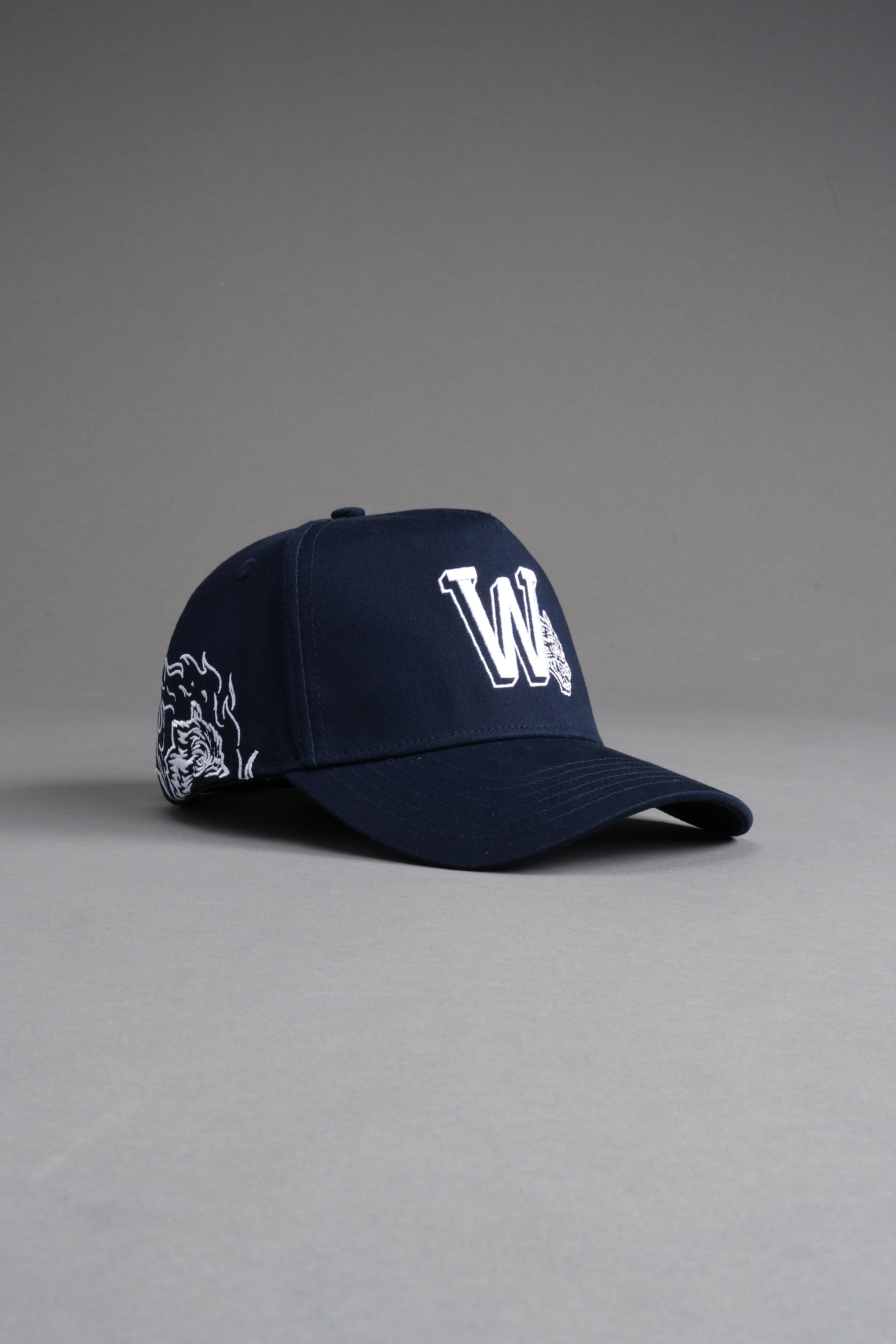 Our Flame 5 Panel Hat in Darc Blue