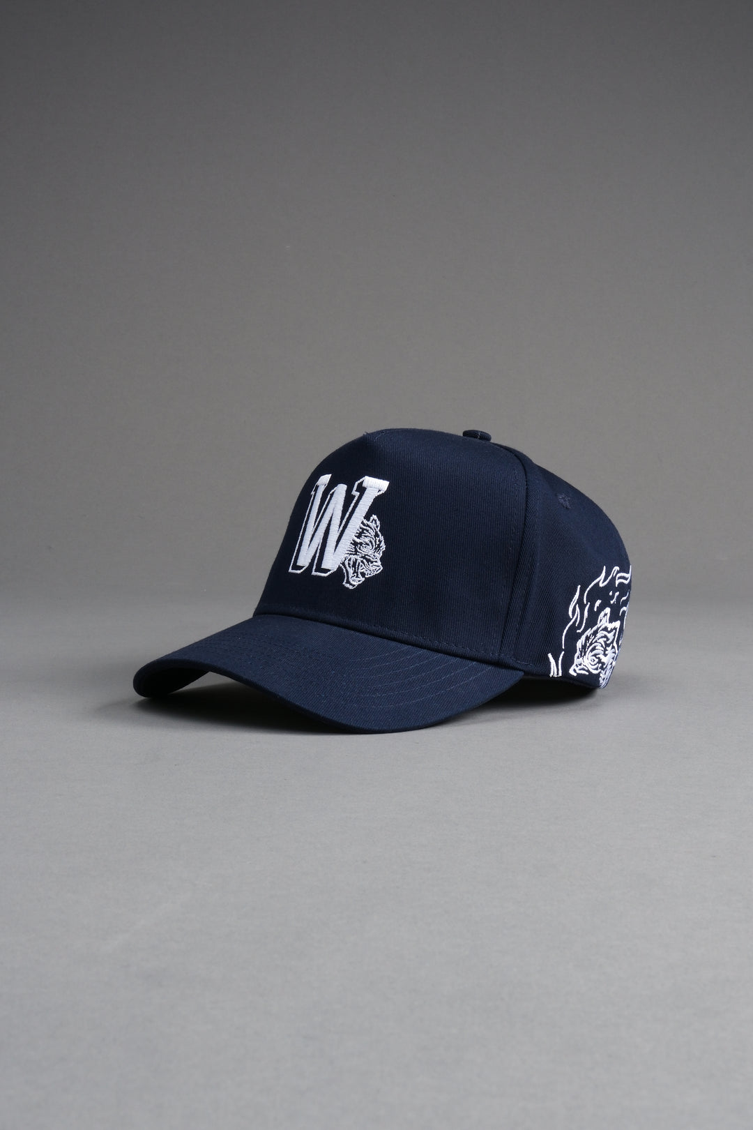 Our Flame 5 Panel Hat in Darc Blue