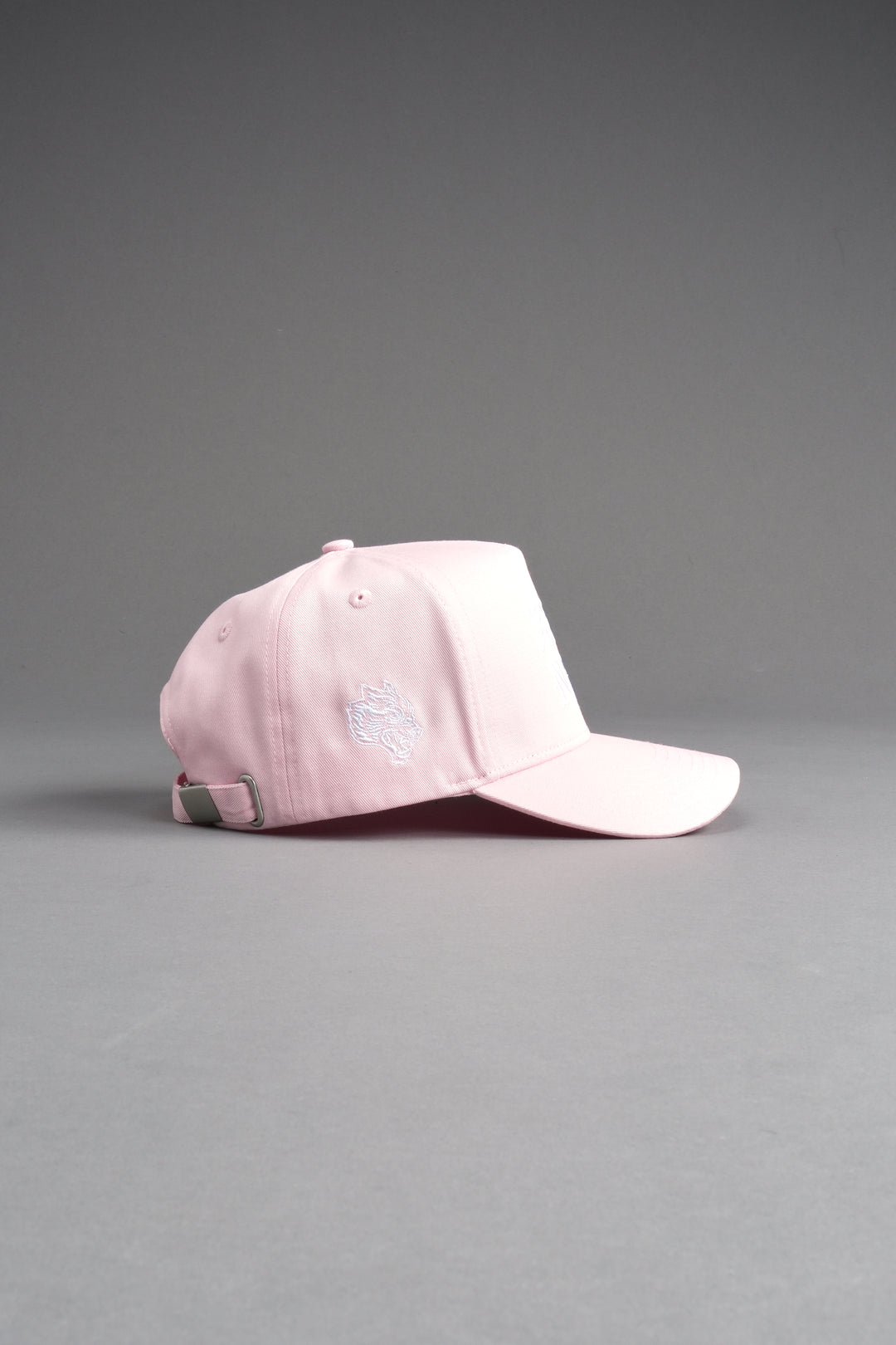 SSDD 5 Panel Hat in Light Mauve
