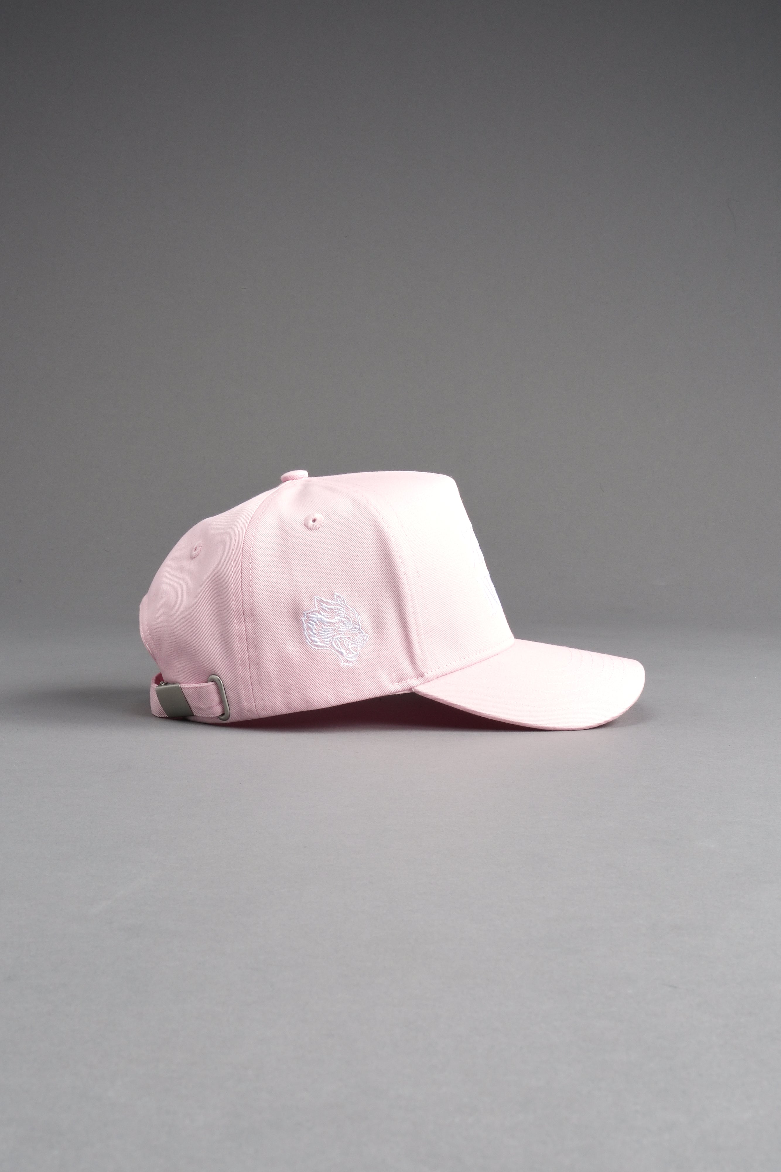 SSDD 5 Panel Hat in Light Mauve