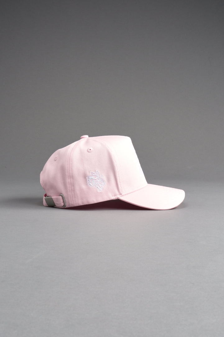 SSDD 5 Panel Hat in Light Mauve