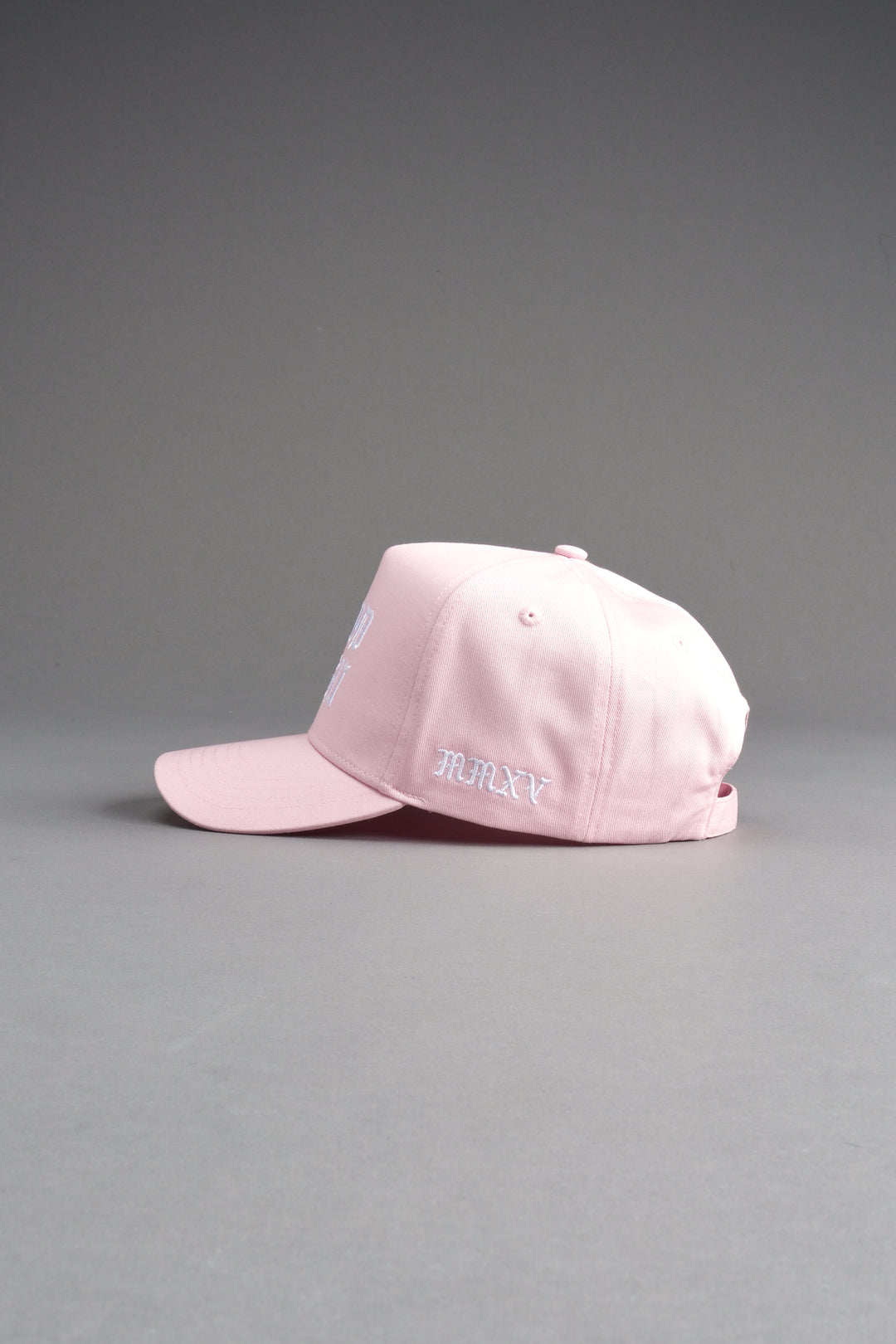 SSDD 5 Panel Hat in Light Mauve