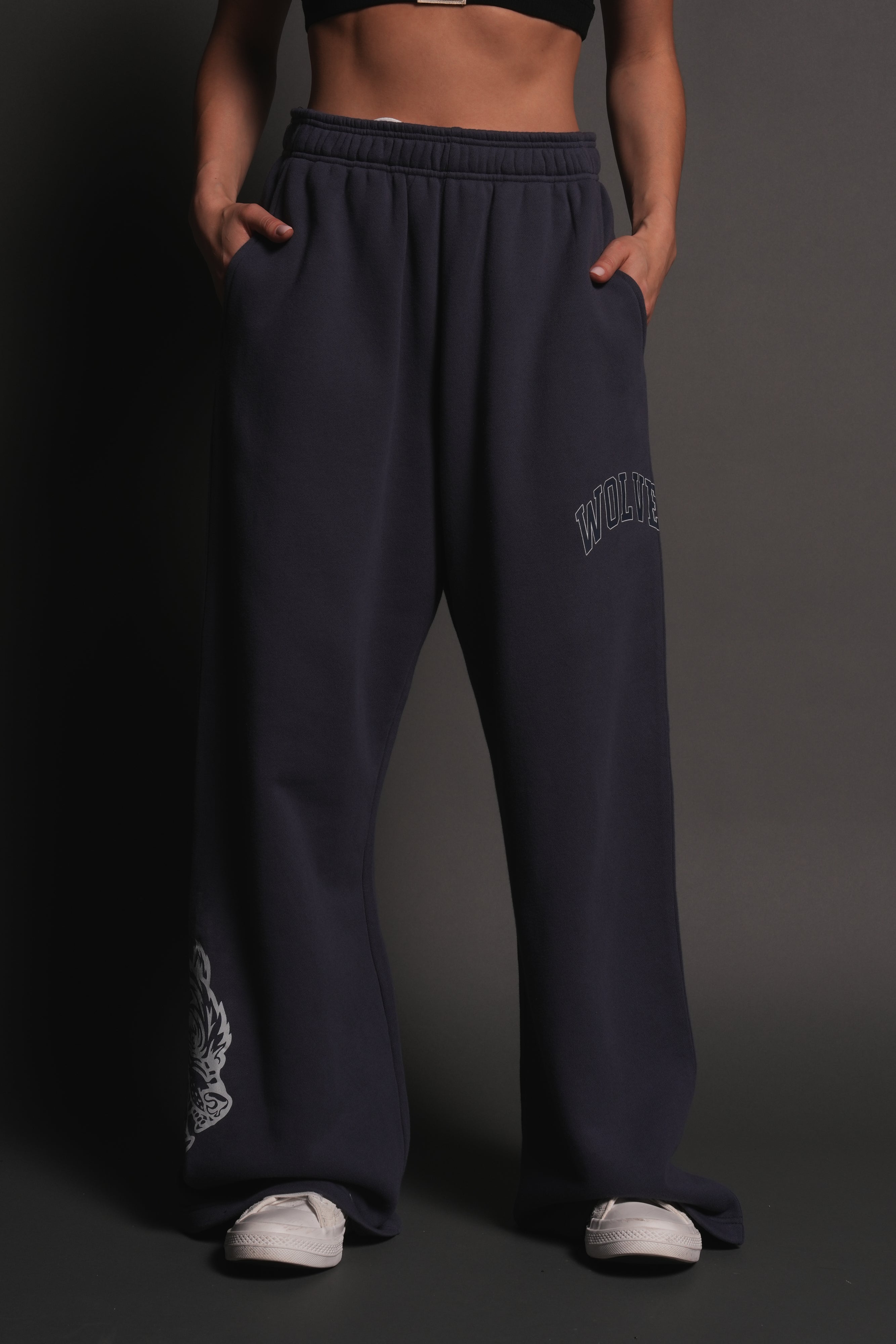 Loyalty Frvr Lennox Sweat Pants in Storm Blue