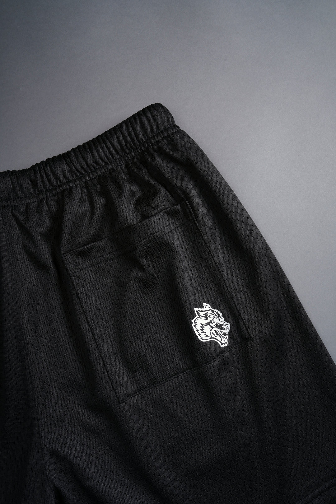 NFGU Powerhouse Mesh Shorts in Black