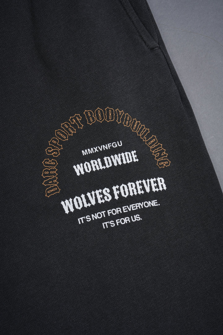 Iron Wolves Bigelow Sweat Pants in Wolf Gray