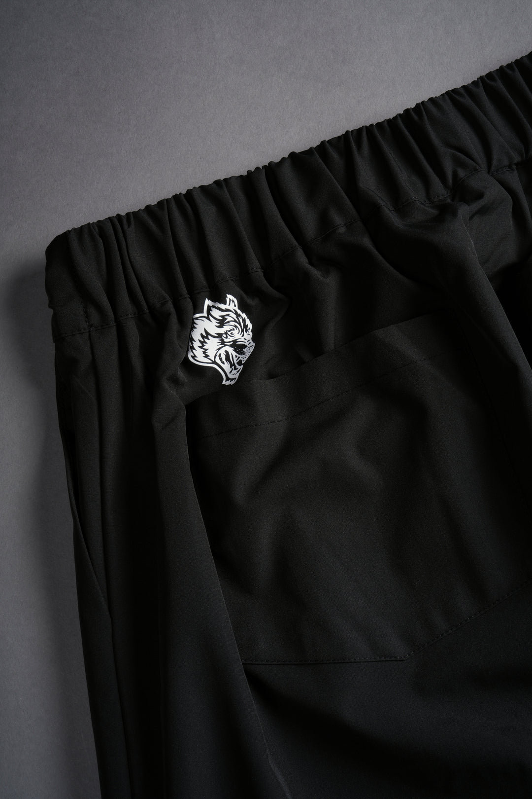 Loyalty Patch Hadi Pants in Black