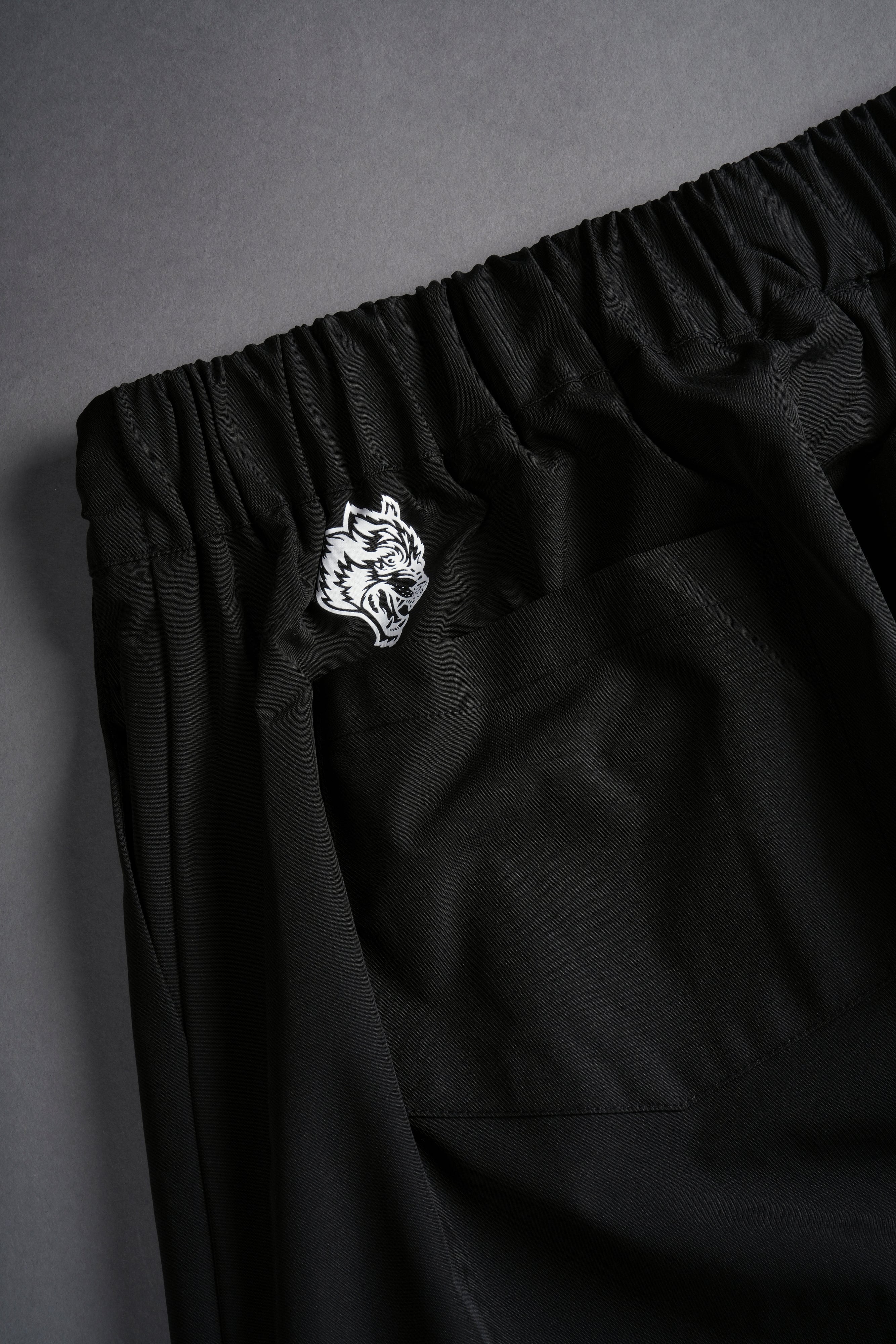 Loyalty Patch Hadi Pants in Black
