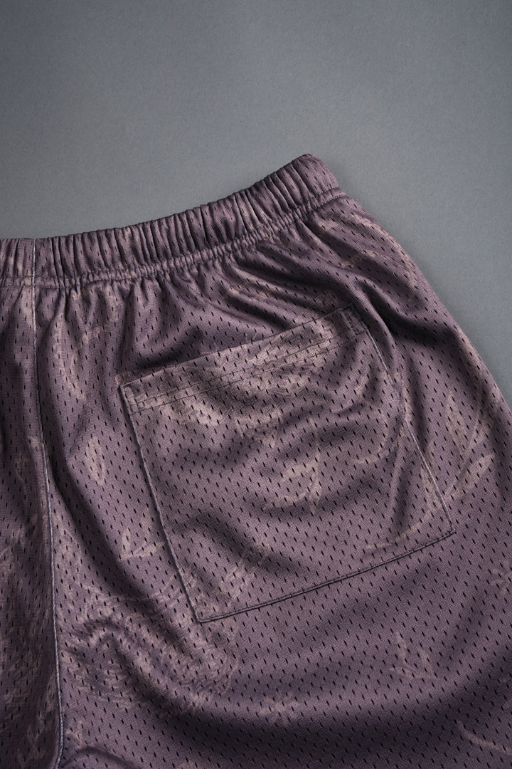 Just Look Up Mesh Shorts in Mauve