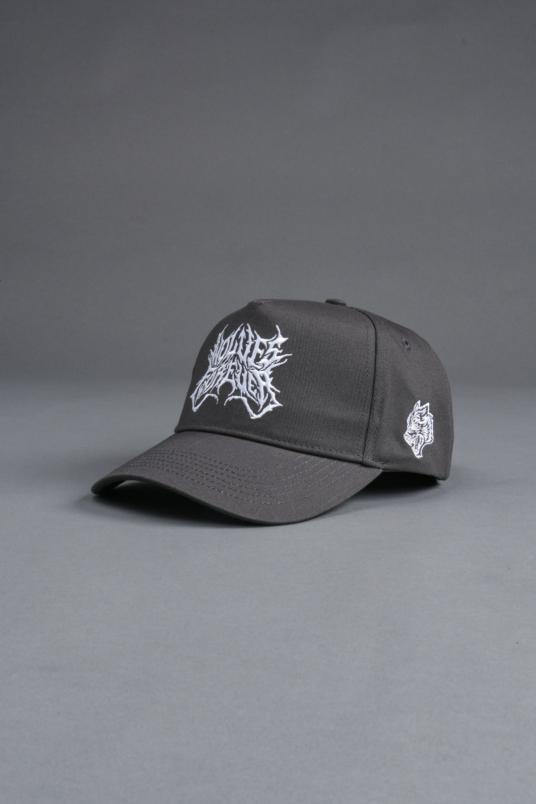 Sheer Loyalty 5 Panel Hat in Wolf Gray