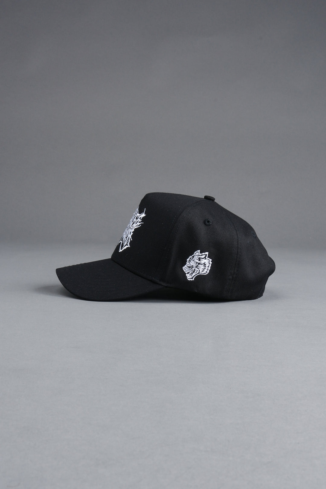 Sheer Loyalty 5 Panel Hat in Black