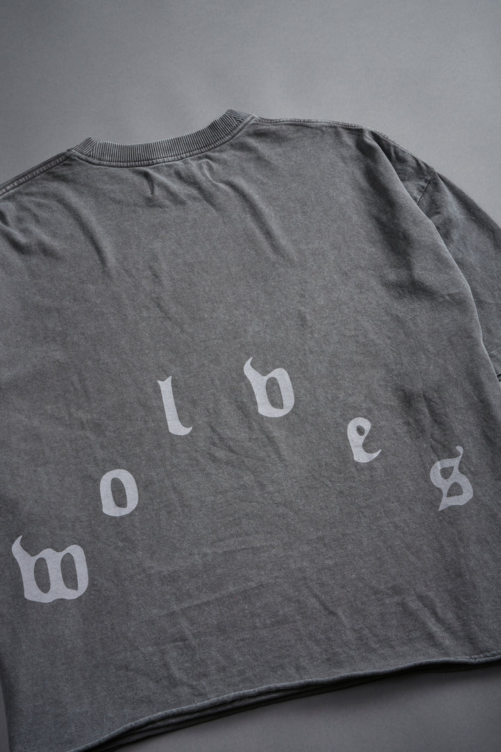 Doom Defiant Grunge Raw Hem Box Cut Tee in Wolf Gray