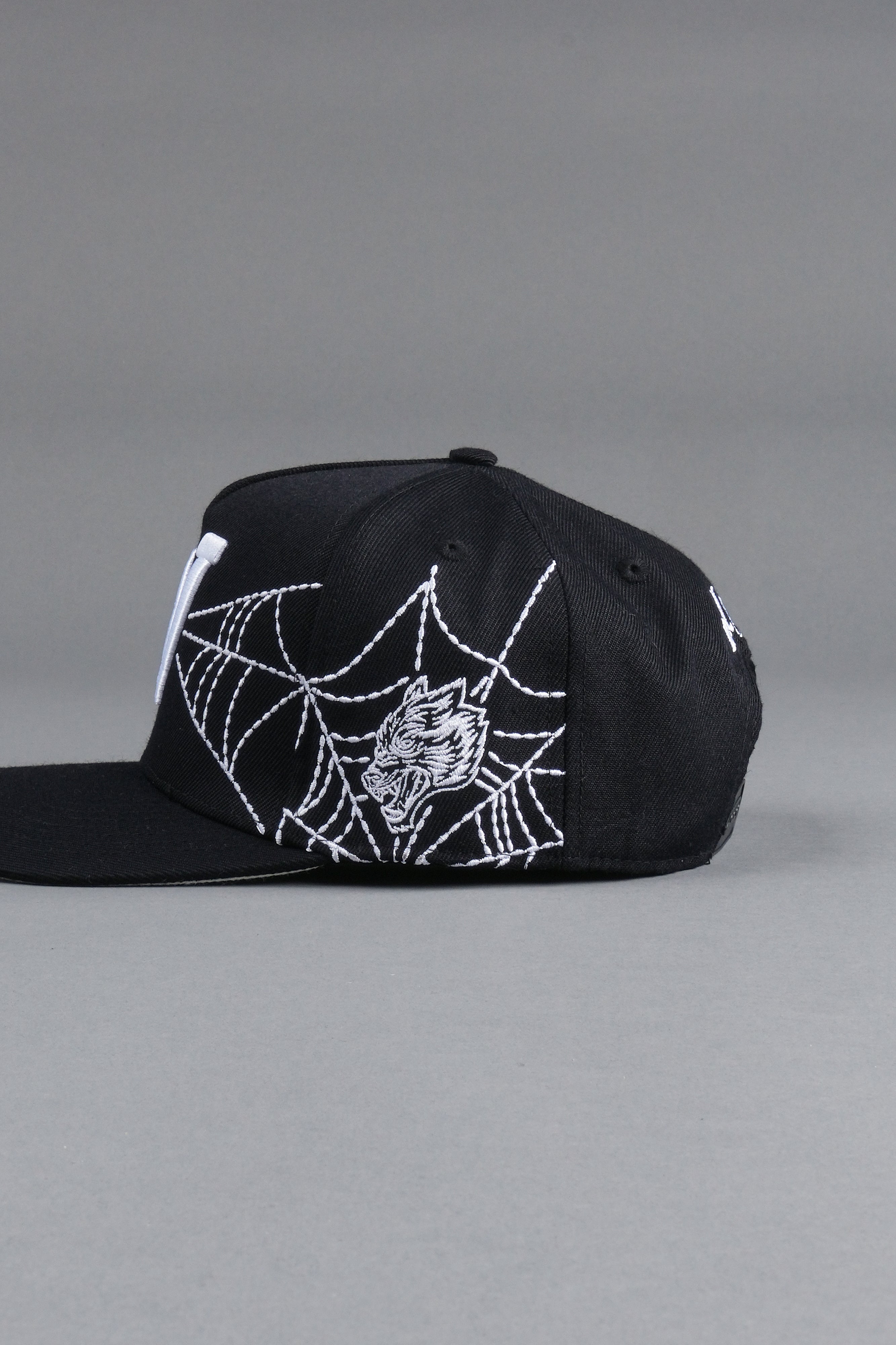 Webbed A Frame Snapback in Black