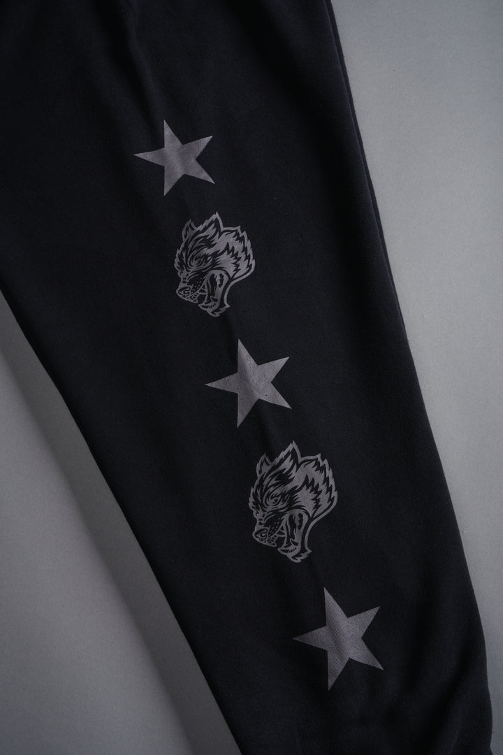 Wolf Star Lightweight Lounger Sweat Pants in Black Drift Wash