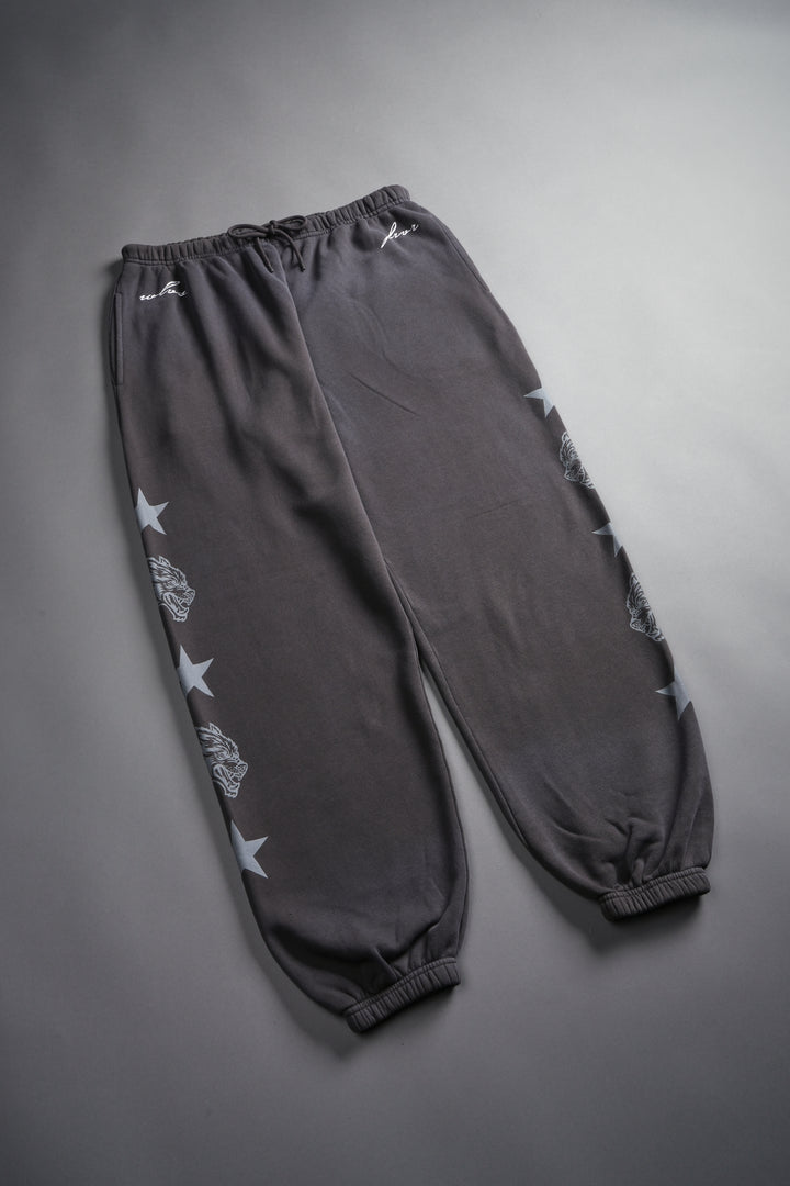 Wolf Star Lightweight Lounger Sweat Pants in Wolf Gray Drift Wash