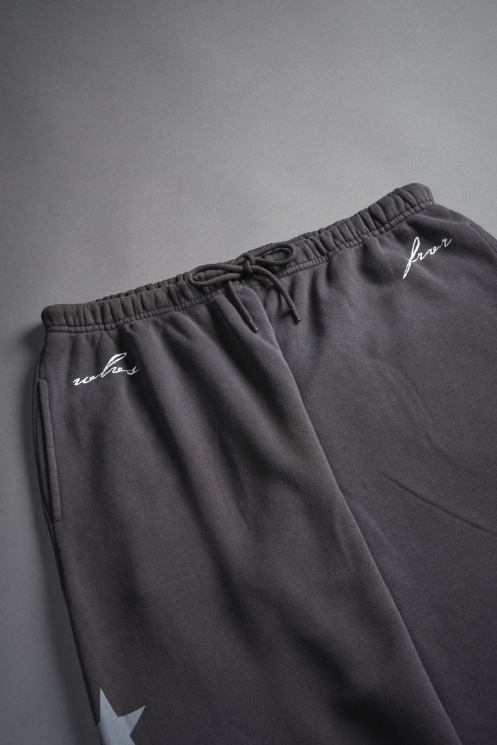 Wolf Star Lightweight Lounger Sweat Pants in Wolf Gray Drift Wash