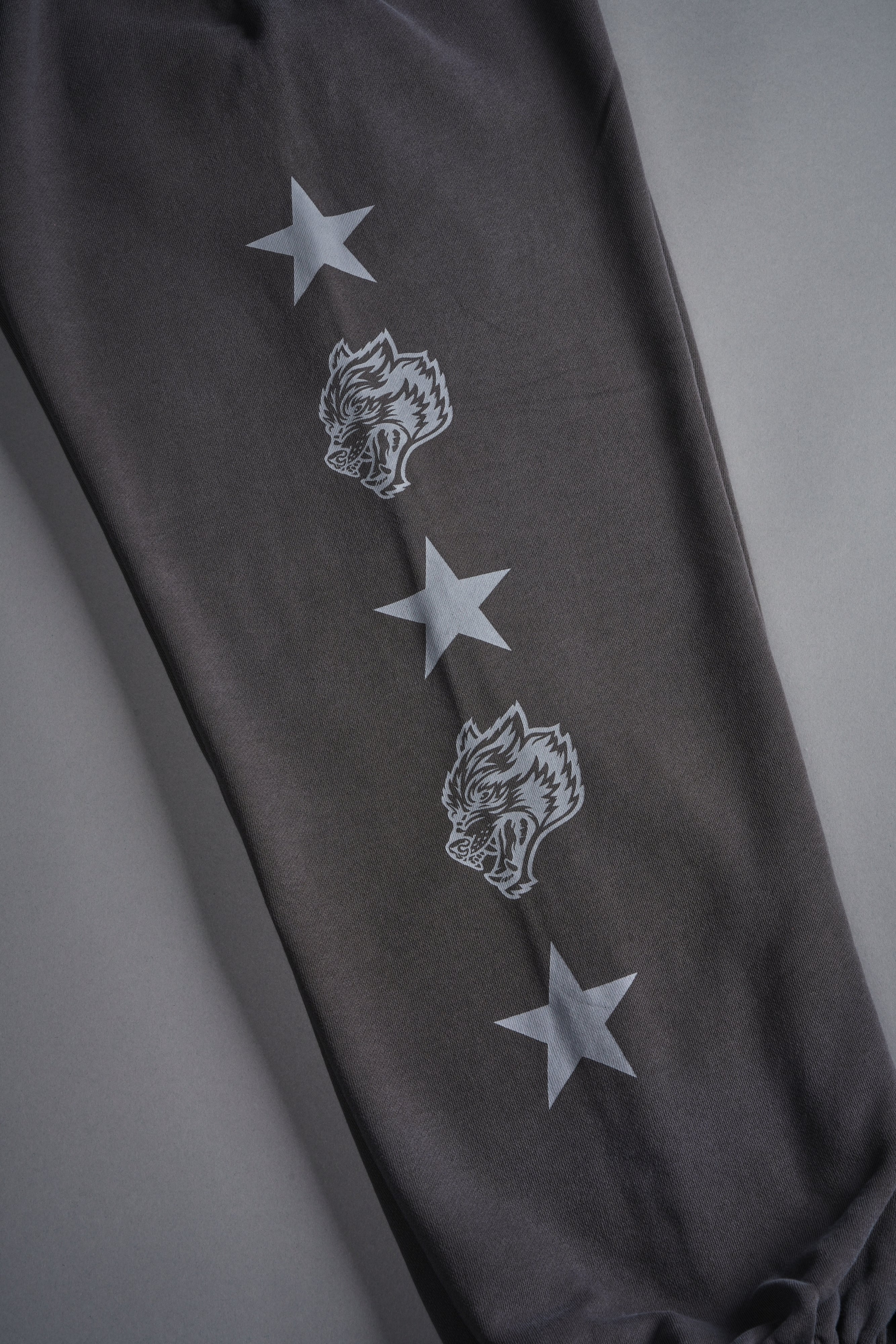 Wolf Star Lightweight Lounger Sweat Pants in Wolf Gray Drift Wash