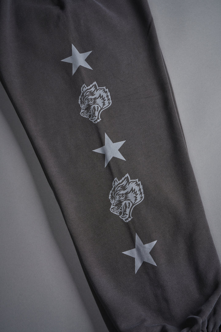 Wolf Star Lightweight Lounger Sweat Pants in Wolf Gray Drift Wash