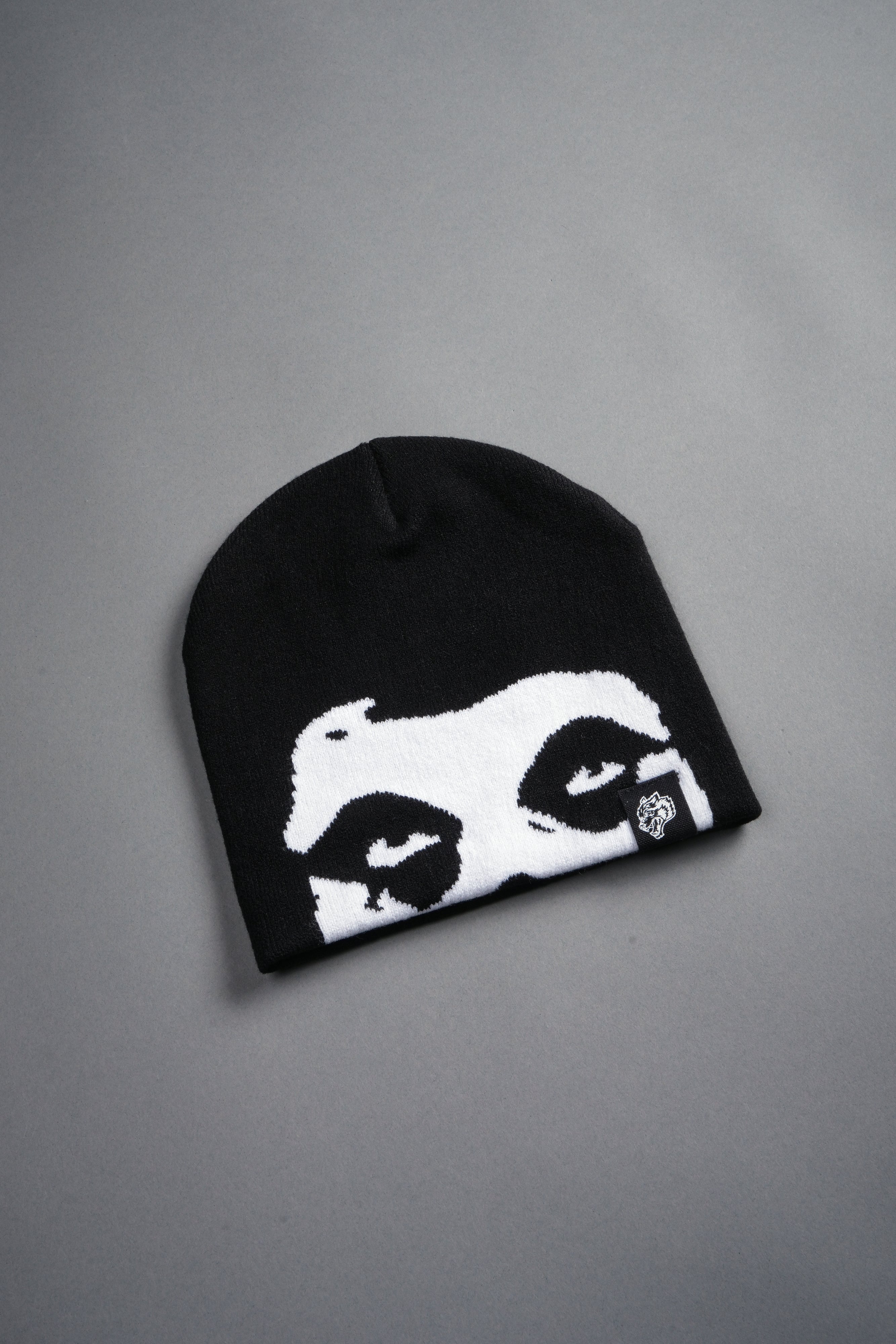 Fiend Skull Cap Beanie in Black