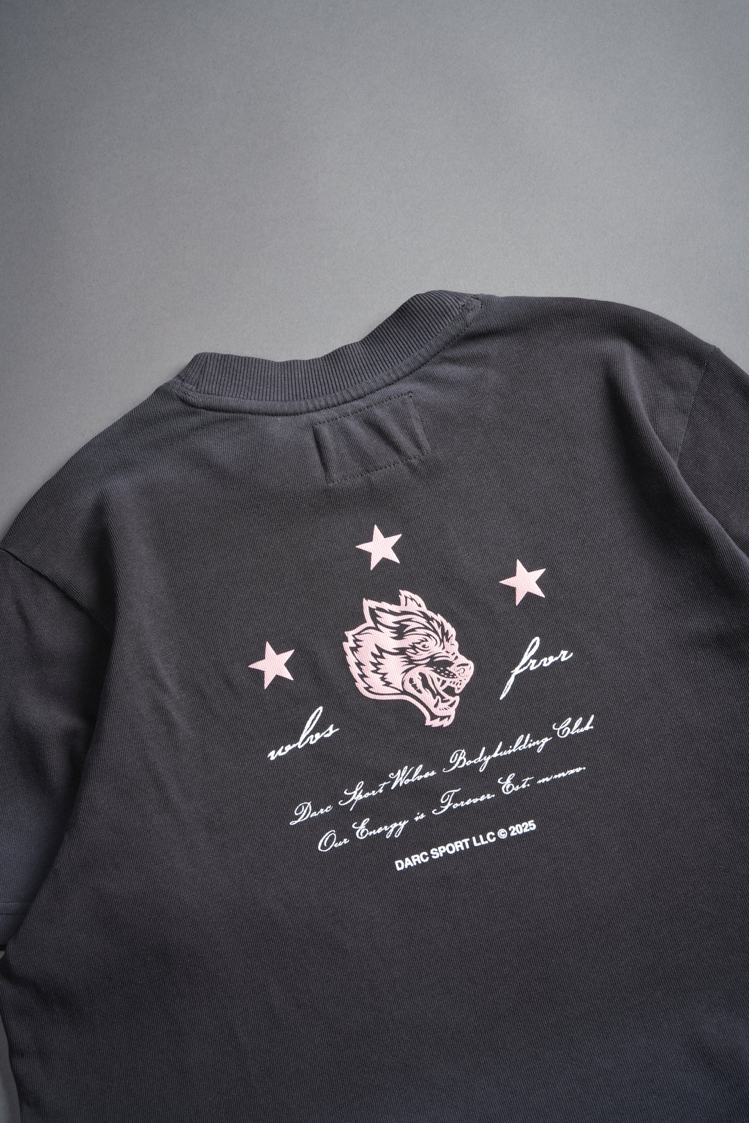 She's a Star "Premium" Oversized Cropped Tee in Wolf Gray Drift Wash