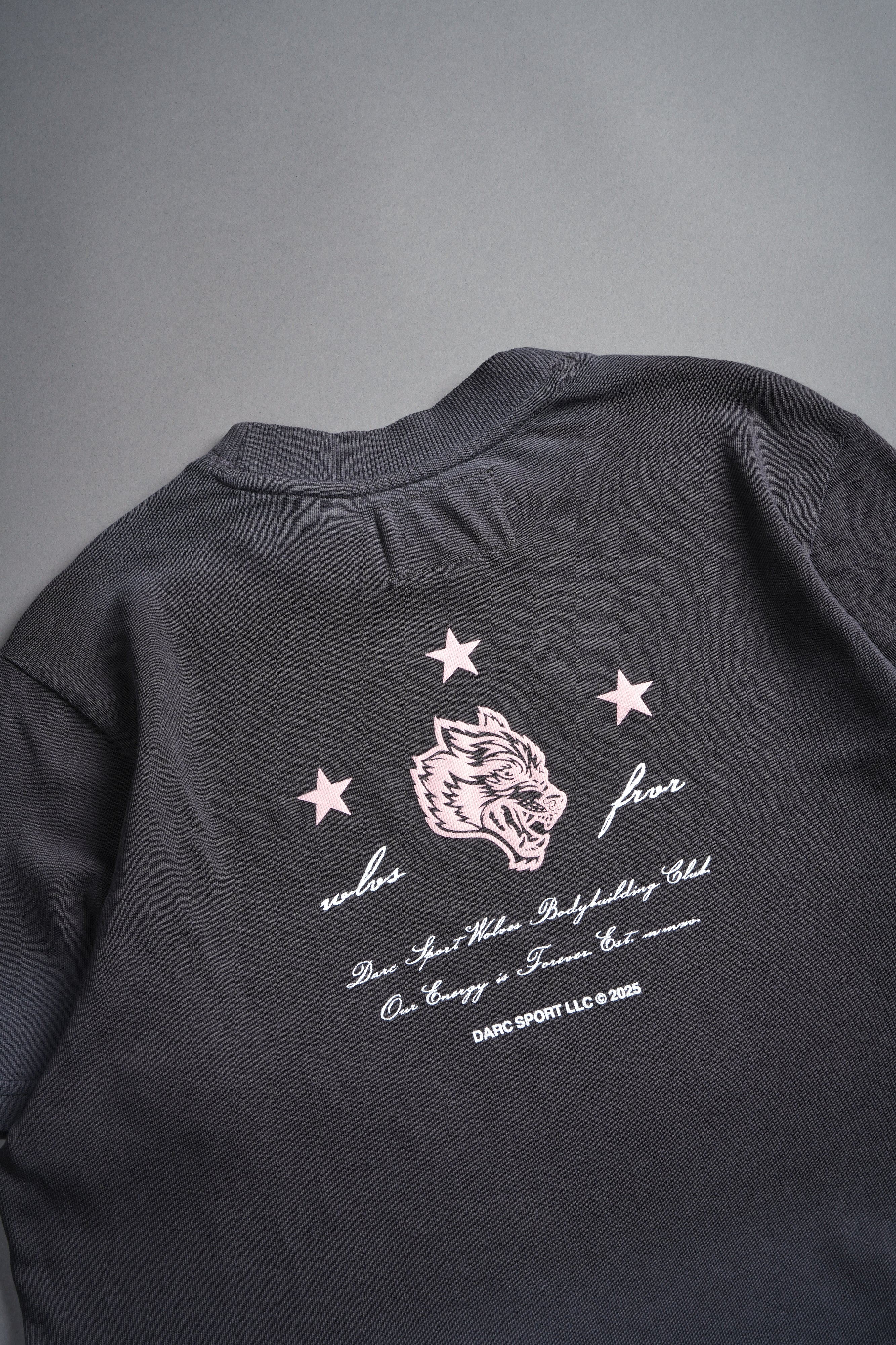 She's a Star "Premium" Oversized Cropped Tee in Wolf Gray Drift Wash