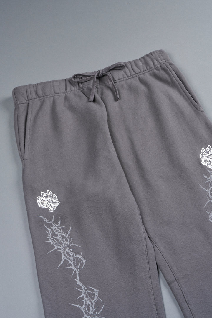 Exo Thorns Bigelow Sweat Pants In Slate Gray
