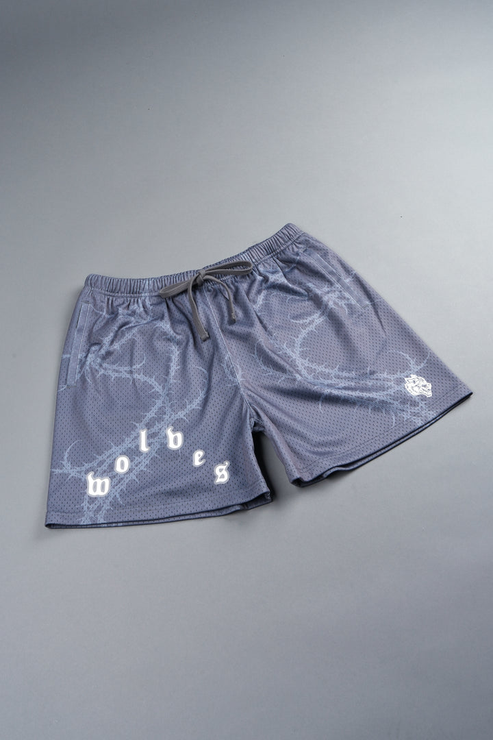 Thorns Frvr Mesh Shorts In Slate Gray