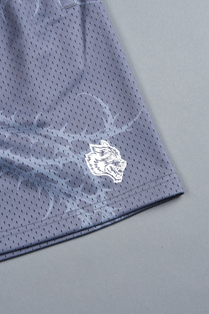 Thorns Frvr Mesh Shorts In Slate Gray