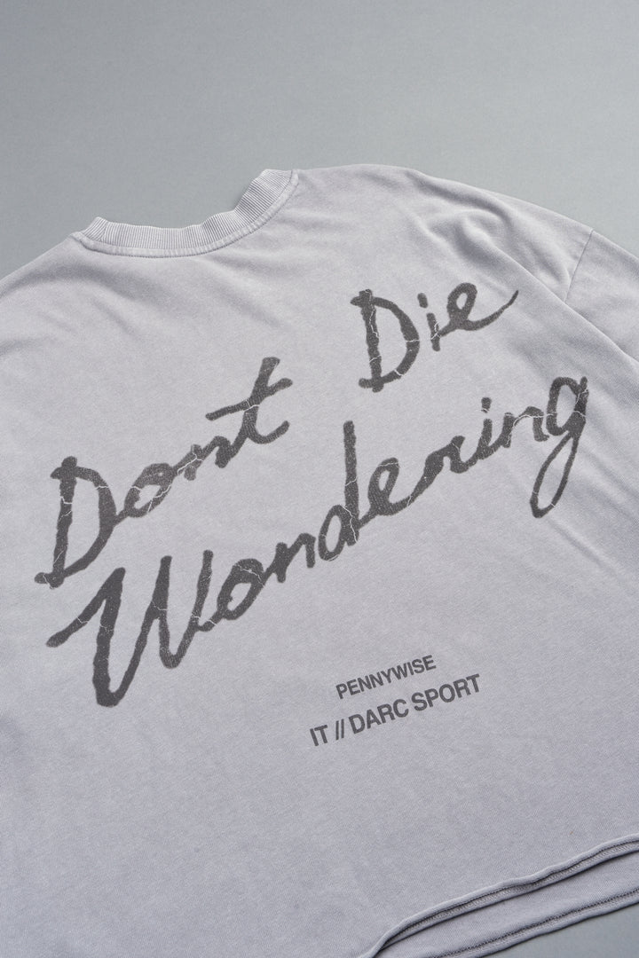 Pennywise Premium Raw Hem Box Cut Tee In Dove Gray