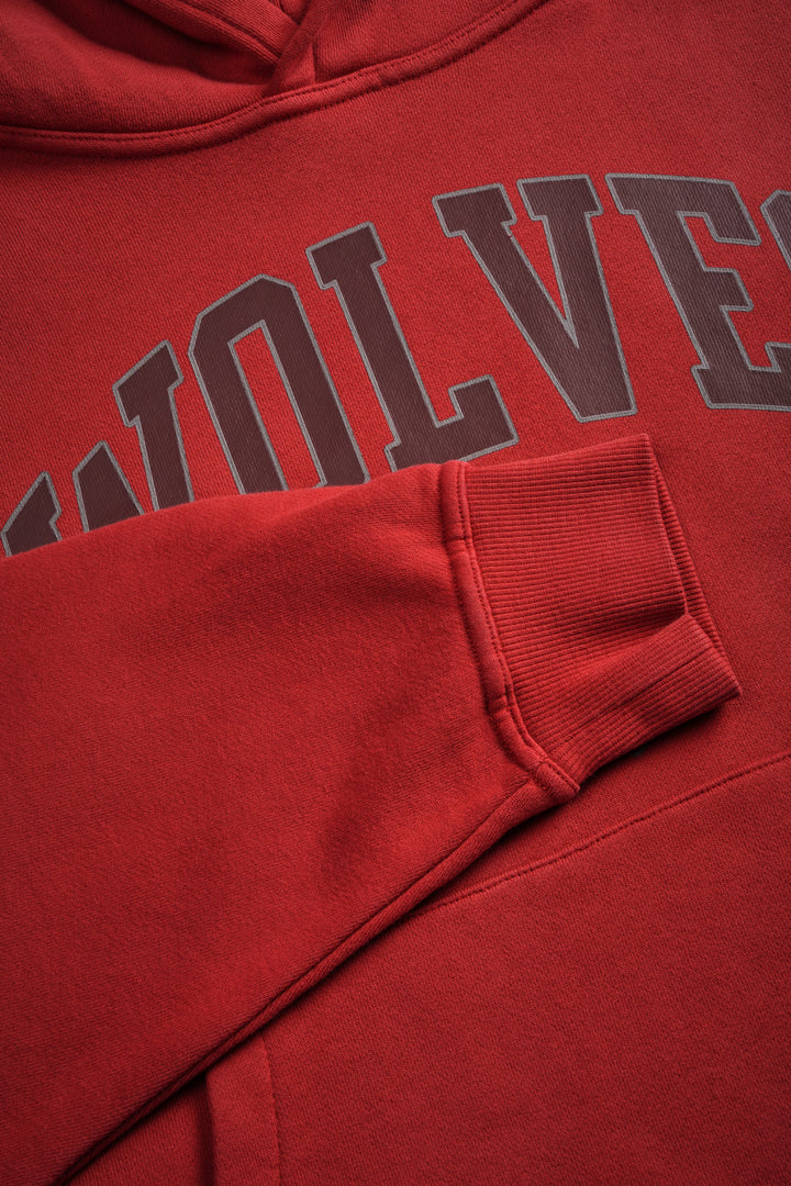 Loyalty Frvr Box Cut Pierce Hoodie in Roman Red