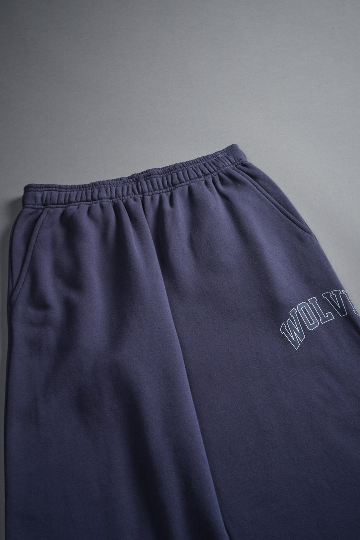 Loyalty Frvr Lennox Sweat Pants in Storm Blue