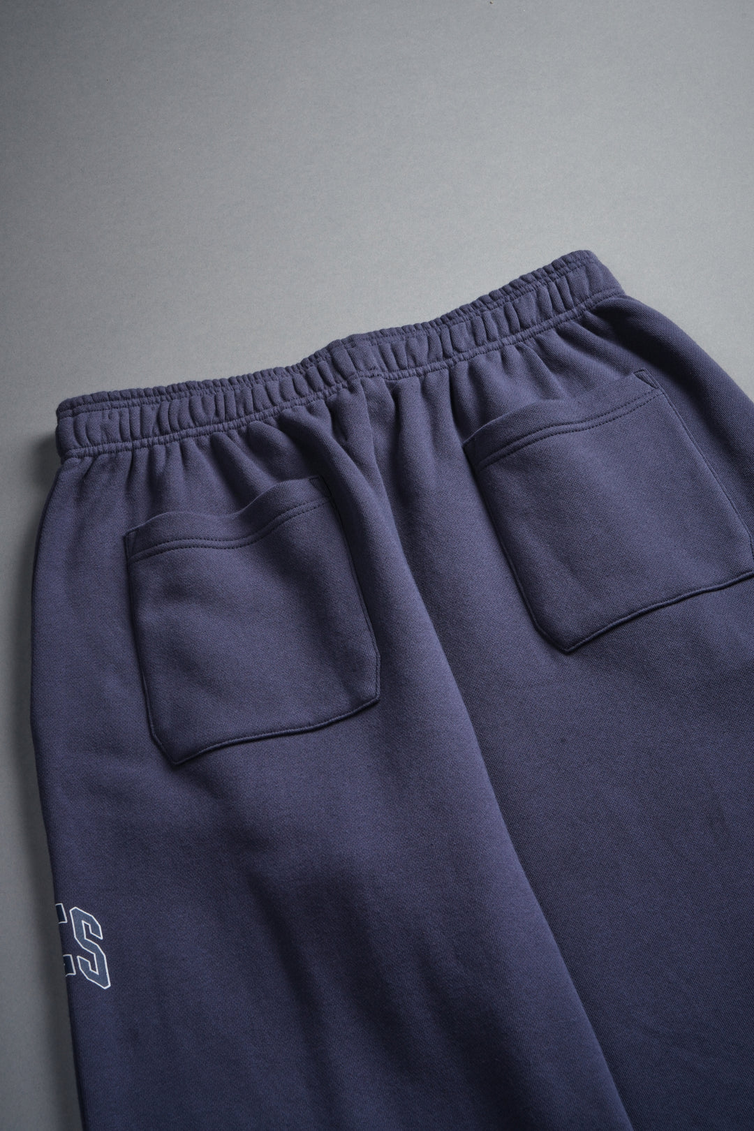 Loyalty Frvr Lennox Sweat Pants in Storm Blue