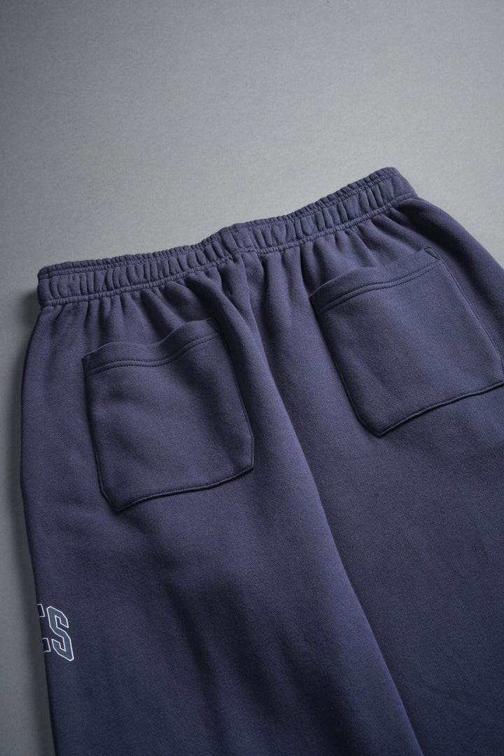 Loyalty Frvr Lennox Sweat Pants in Storm Blue