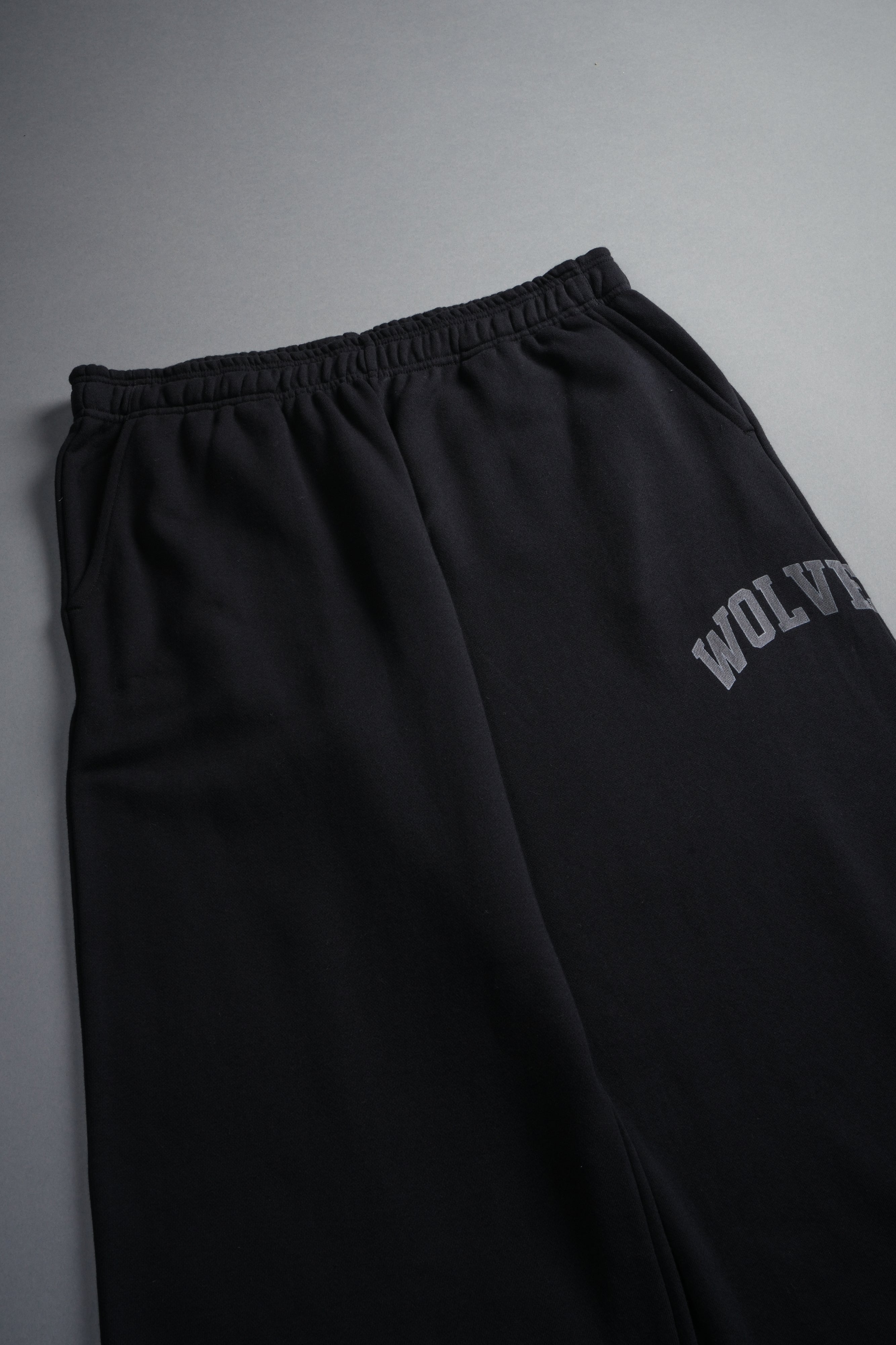 Loyalty Frvr Lennox Sweat Pants in Black