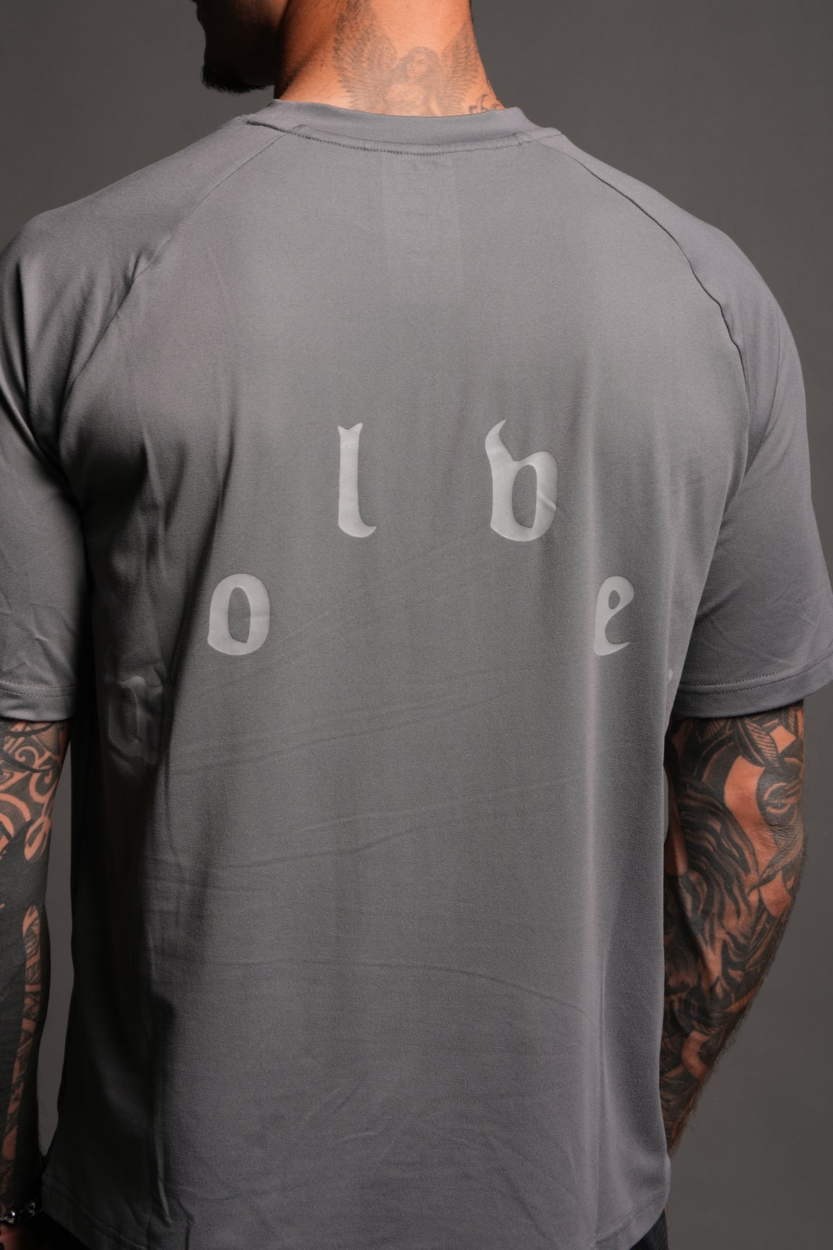 Pyramid V3 Dry Wolf Raglan Ss Tee In Slate Gray