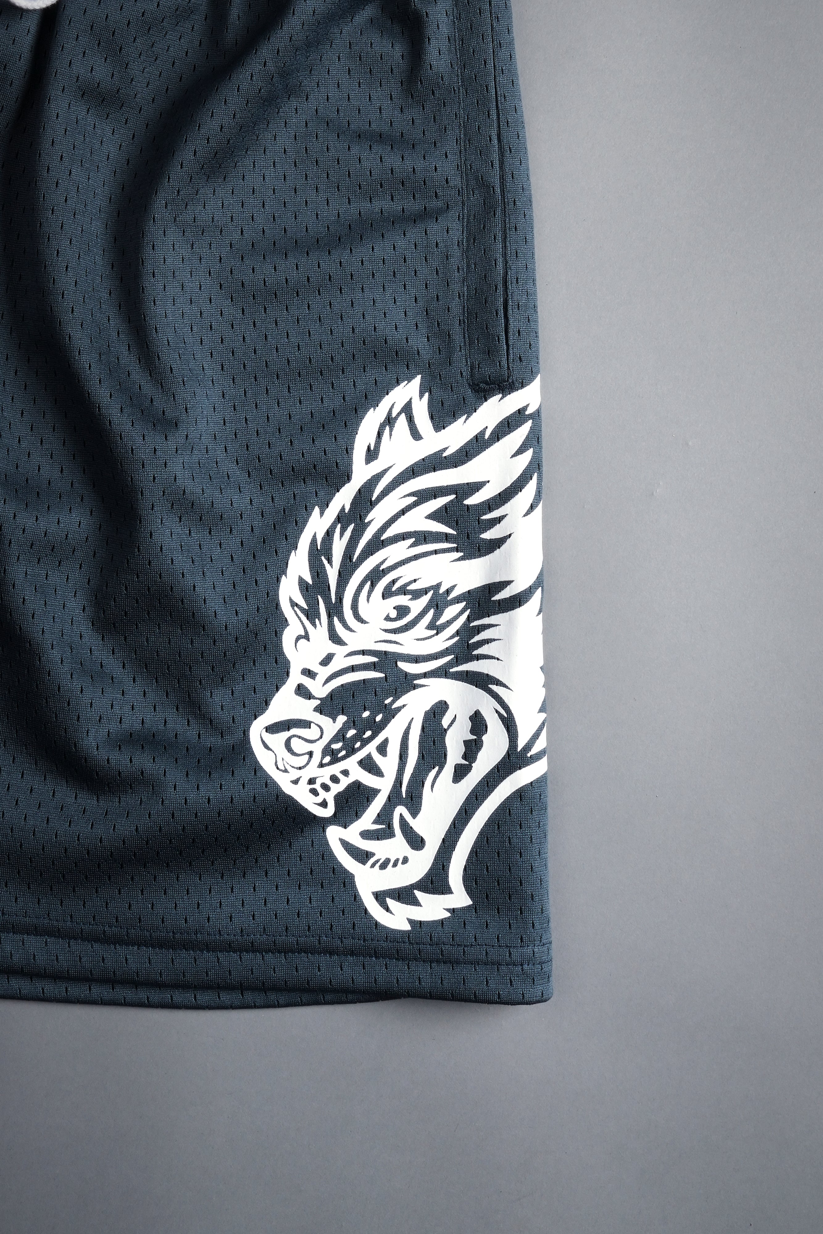 Vaughn Mesh Shorts in Darc Blue – DarcSport