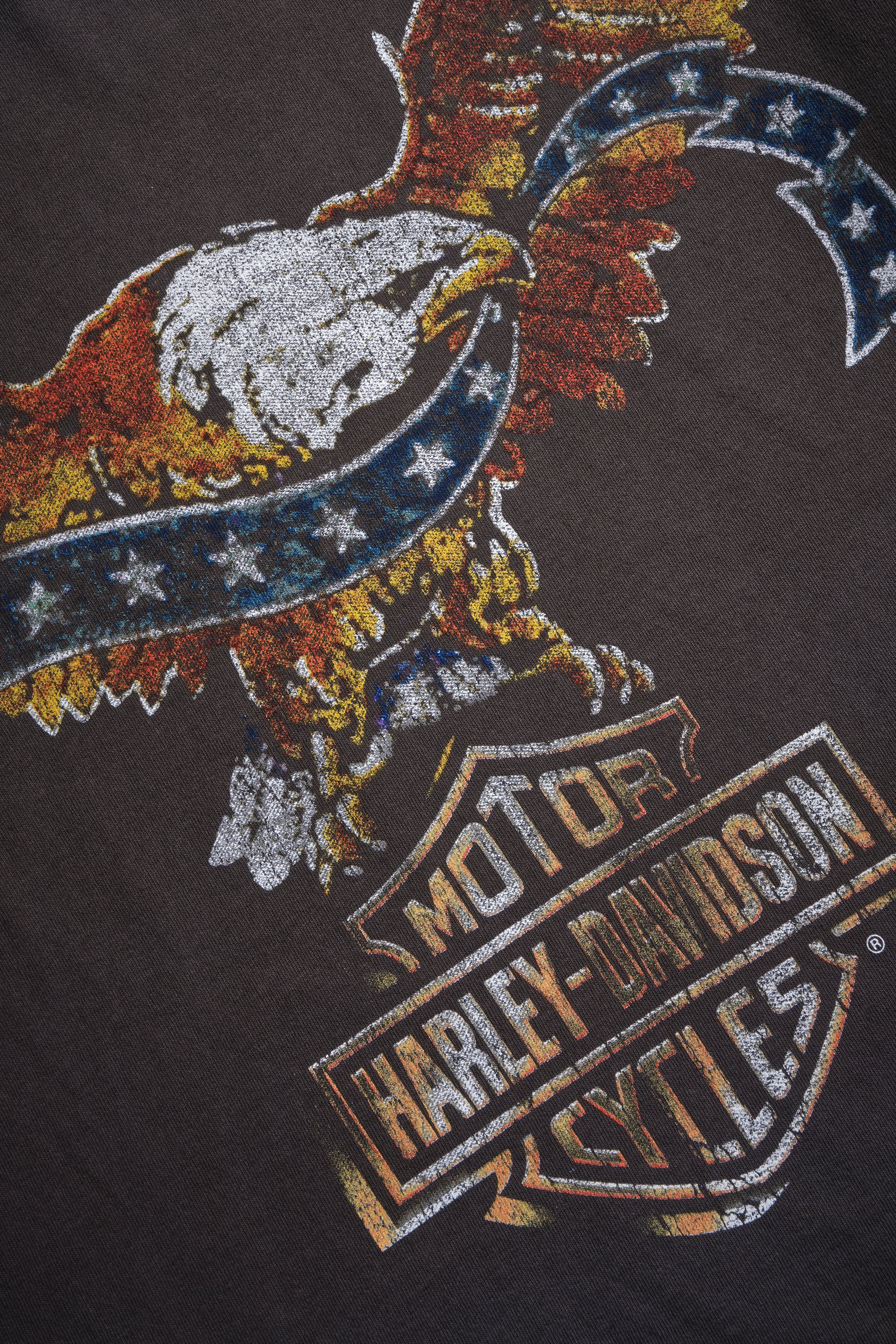 Darc Eagle Distressed Grunge Mid-Length Raw Hem Tee in Darc Brown Drift Wash