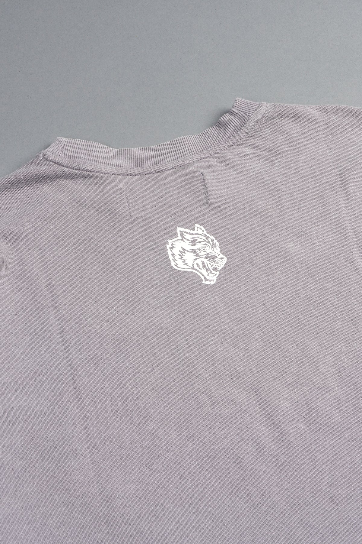 Ds Corazon Premium Oversized Tee In Pale Gray